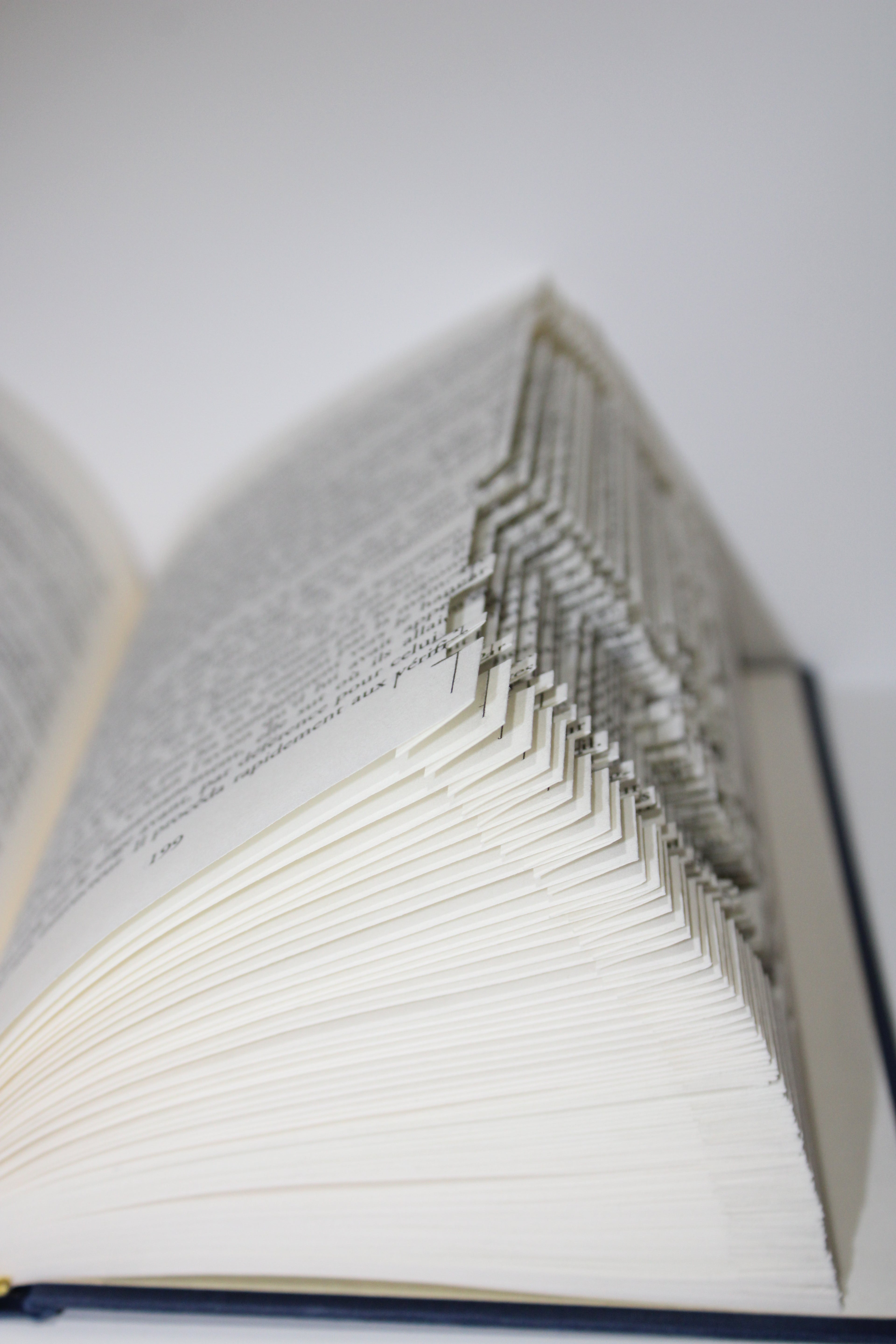 Livre signe astrologique Cancer