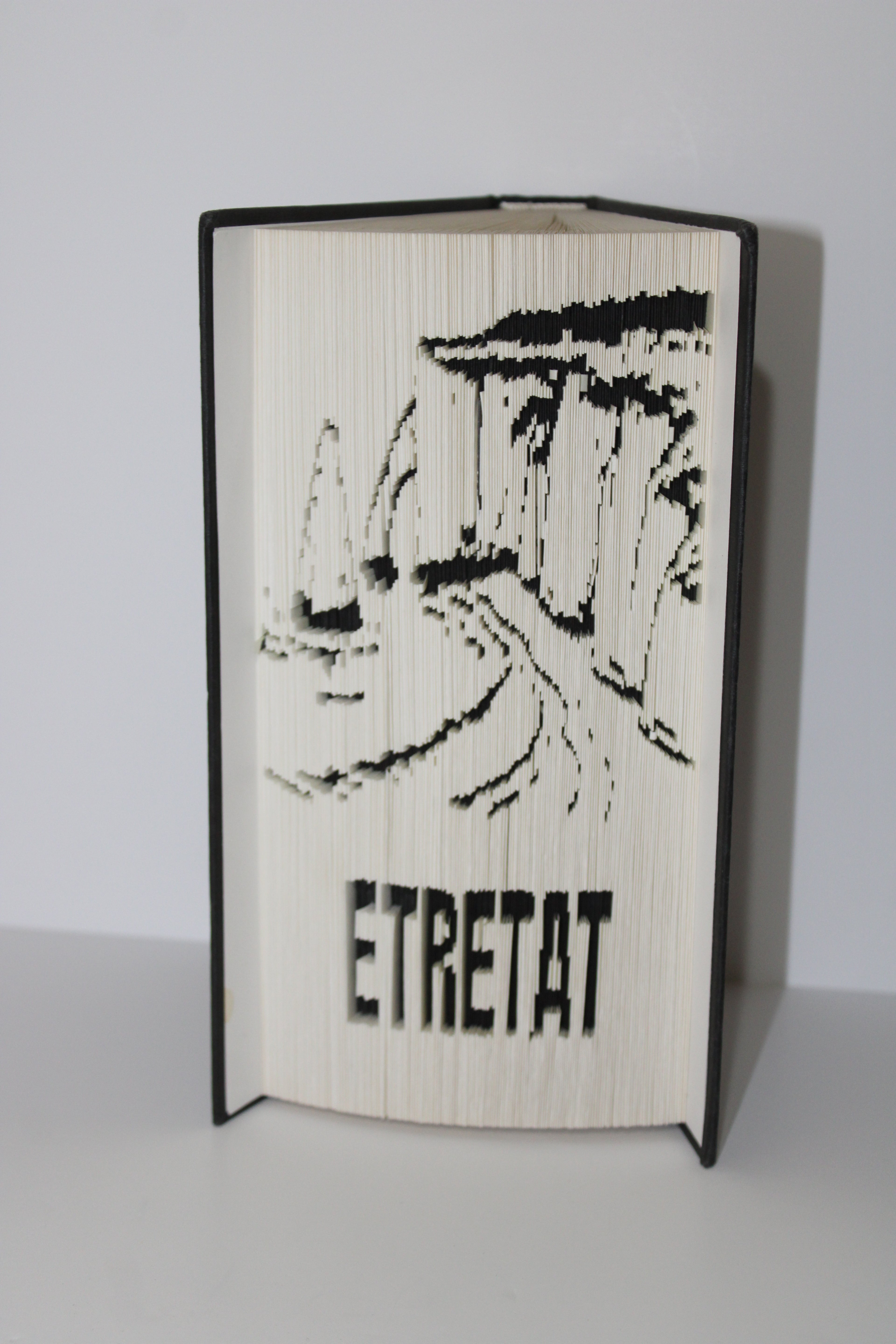 Livre les falaises d'Etretat