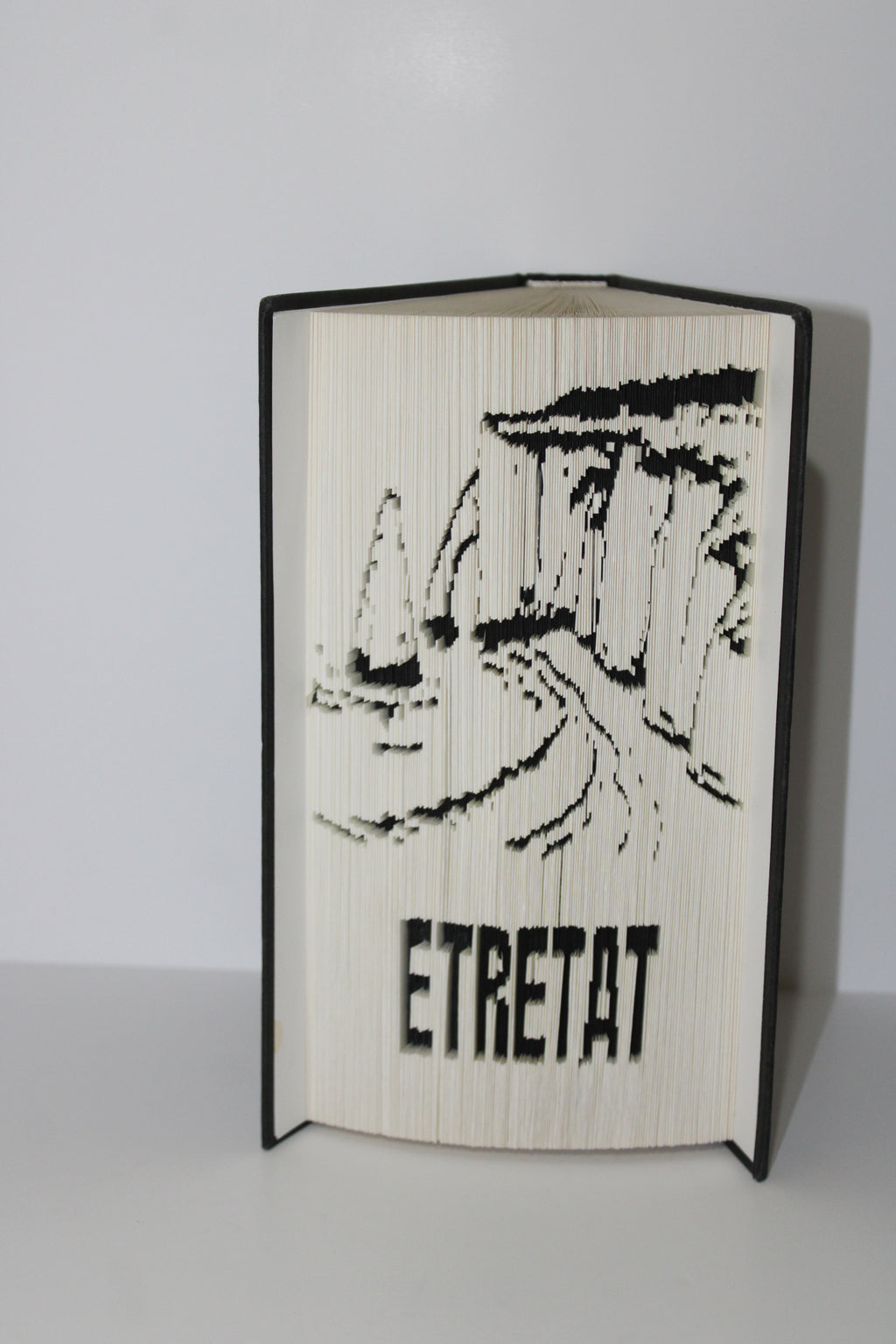 Livre les falaises d'Etretat