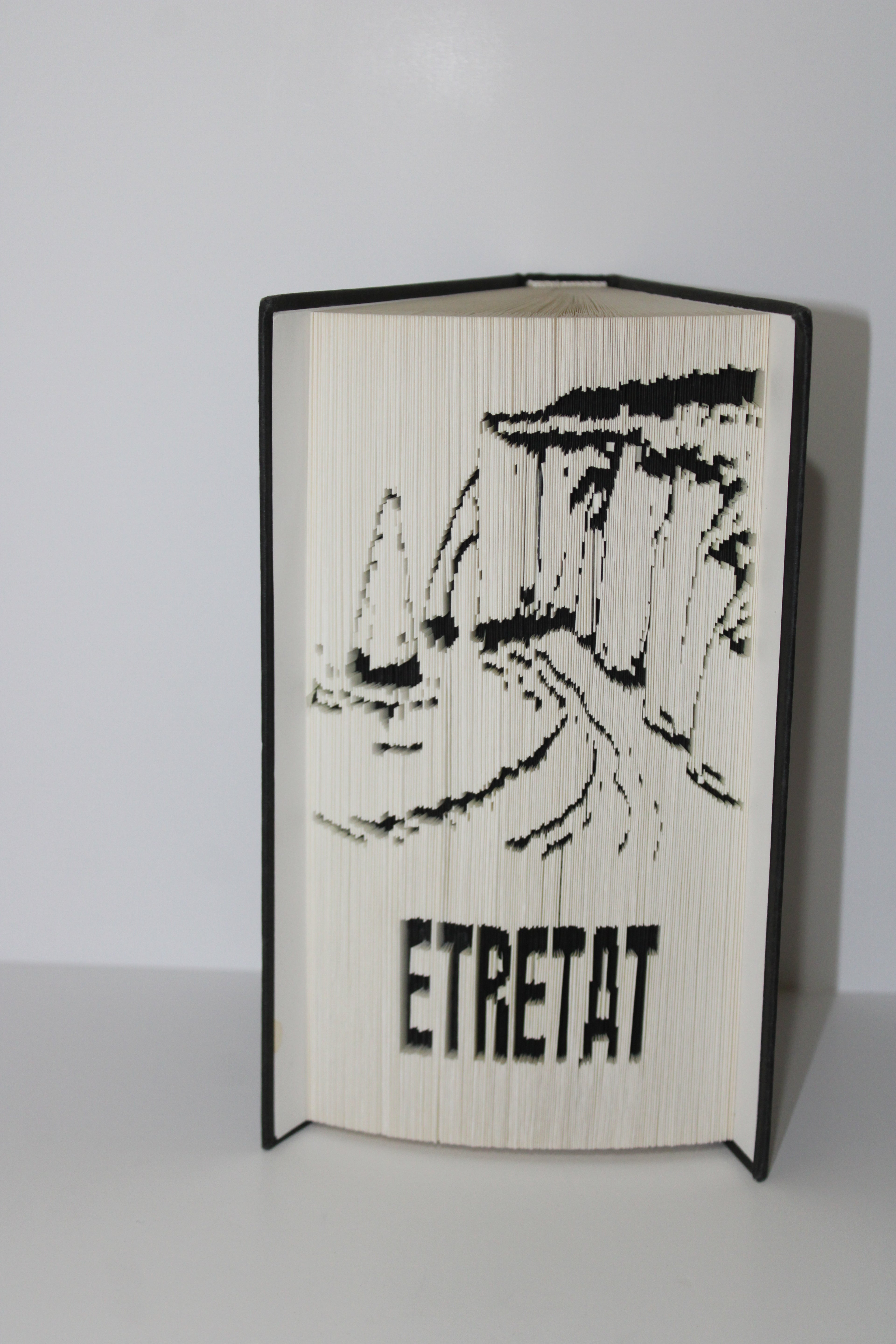 Livre les falaises d'Etretat