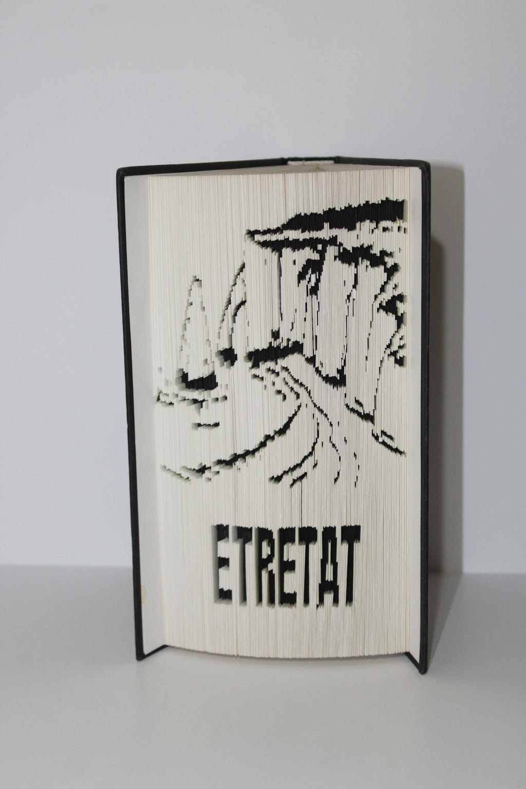 Livre les falaises d'Etretat