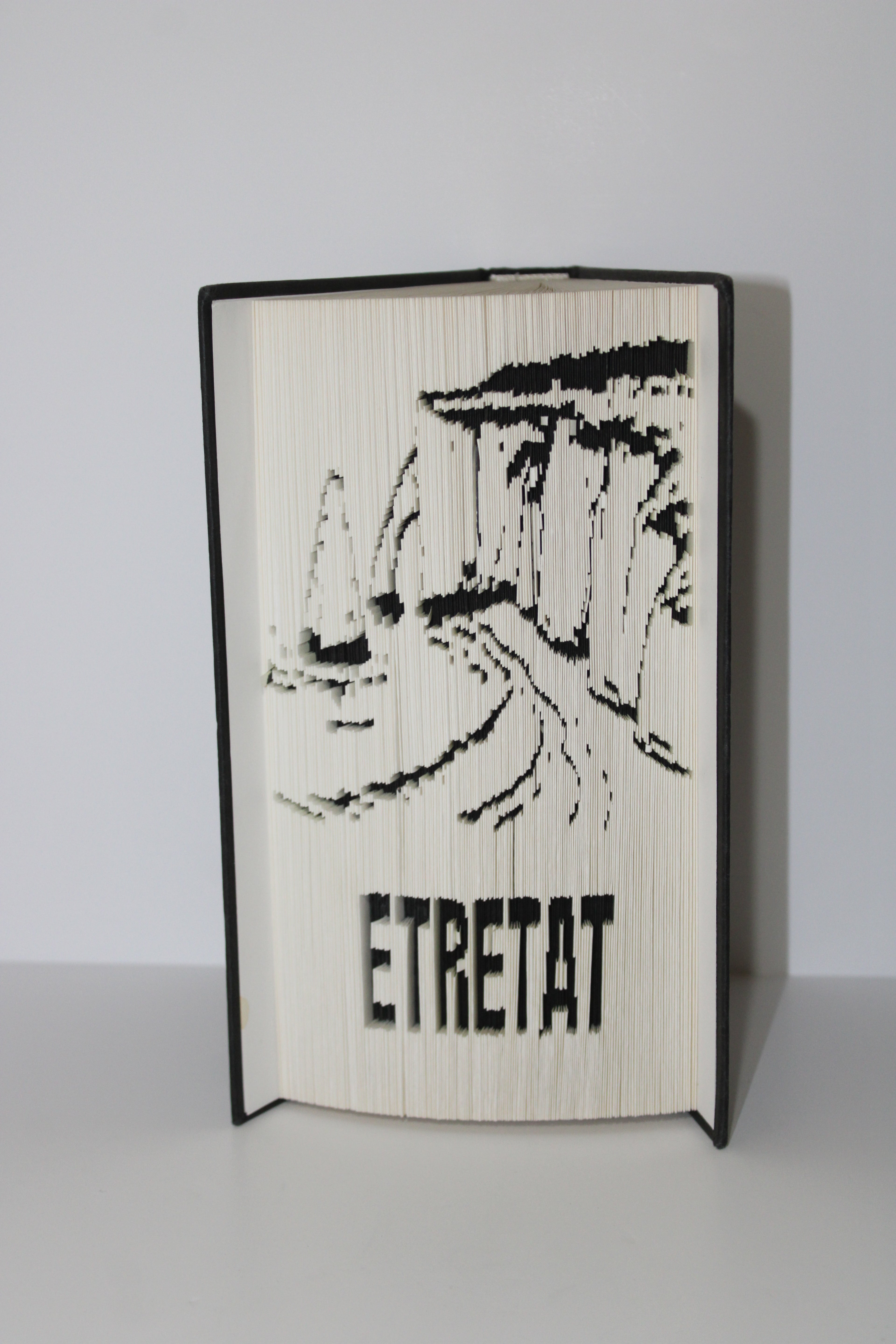 Livre les falaises d'Etretat