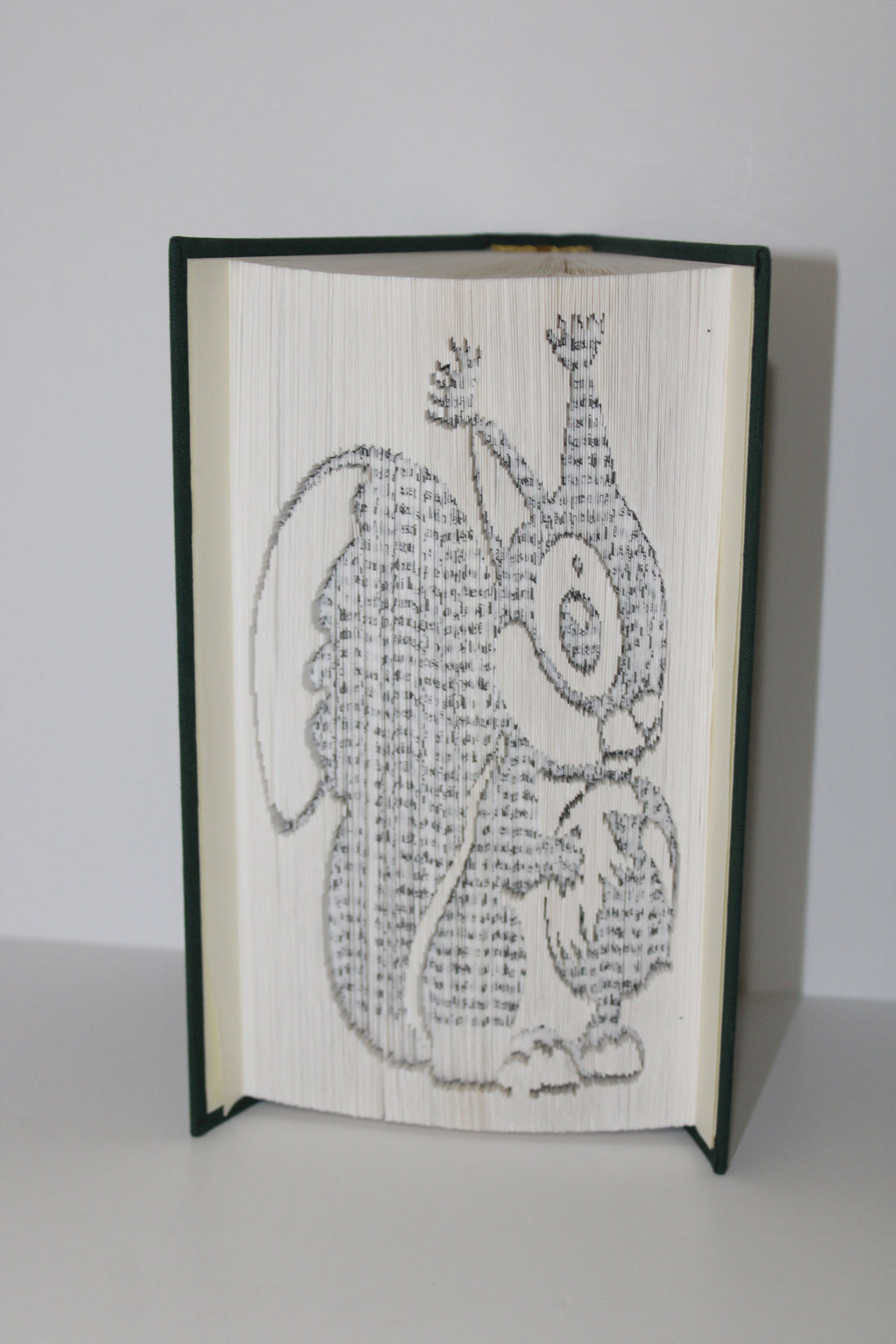 Livre écureuil