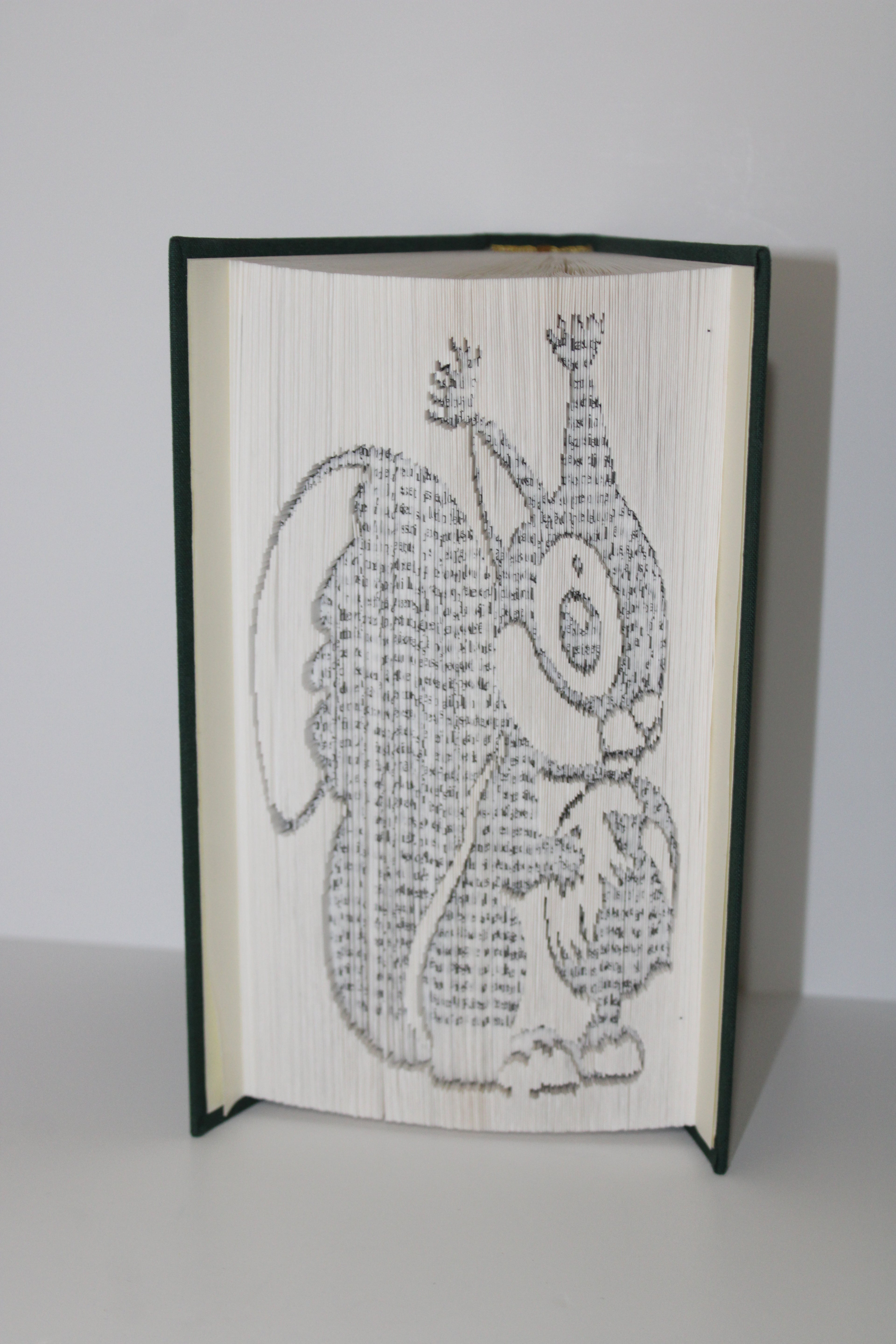 Livre écureuil