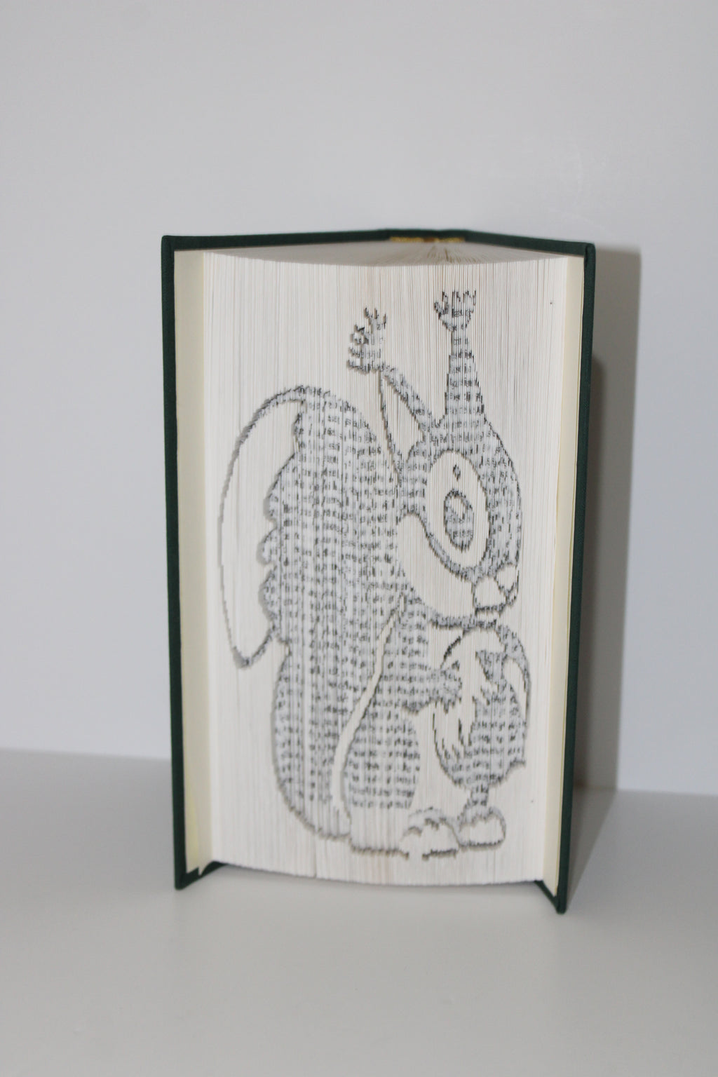 Livre écureuil