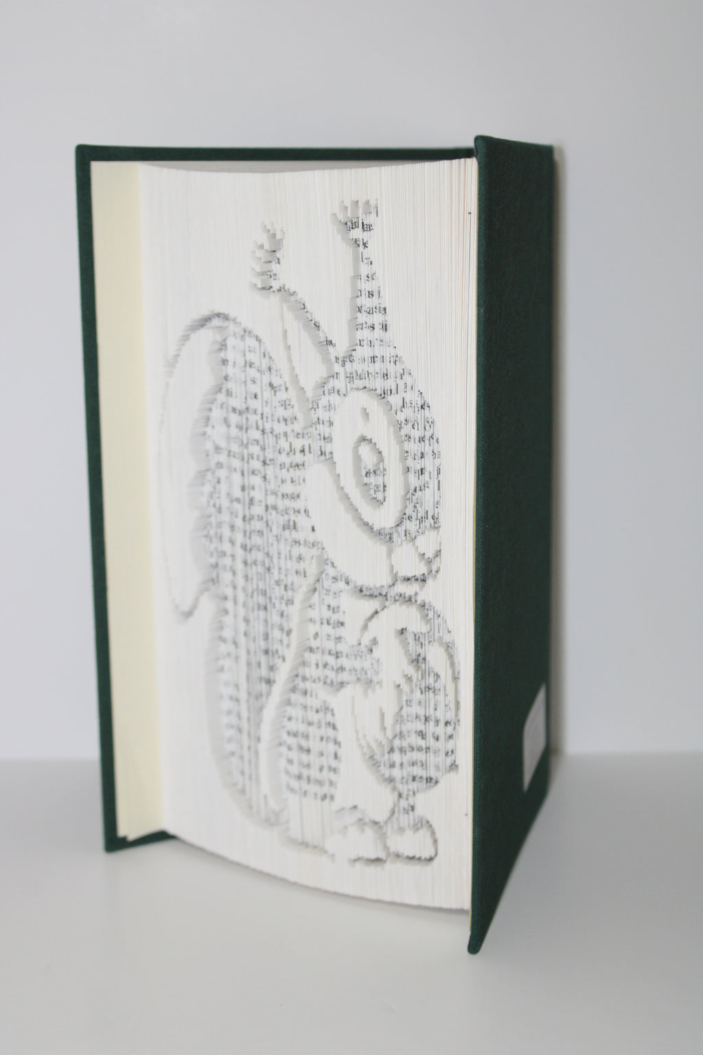 Livre écureuil