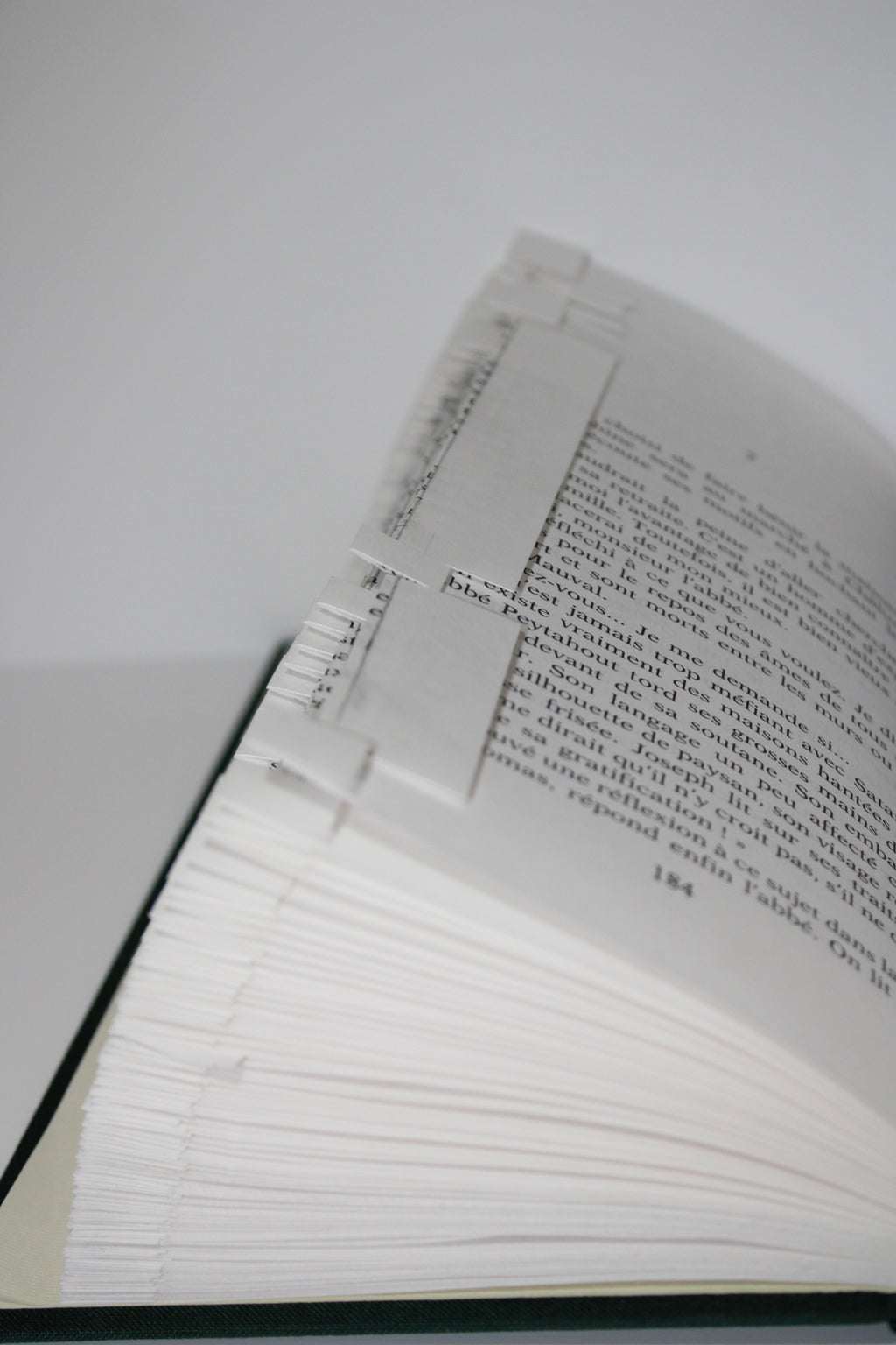 Livre écureuil