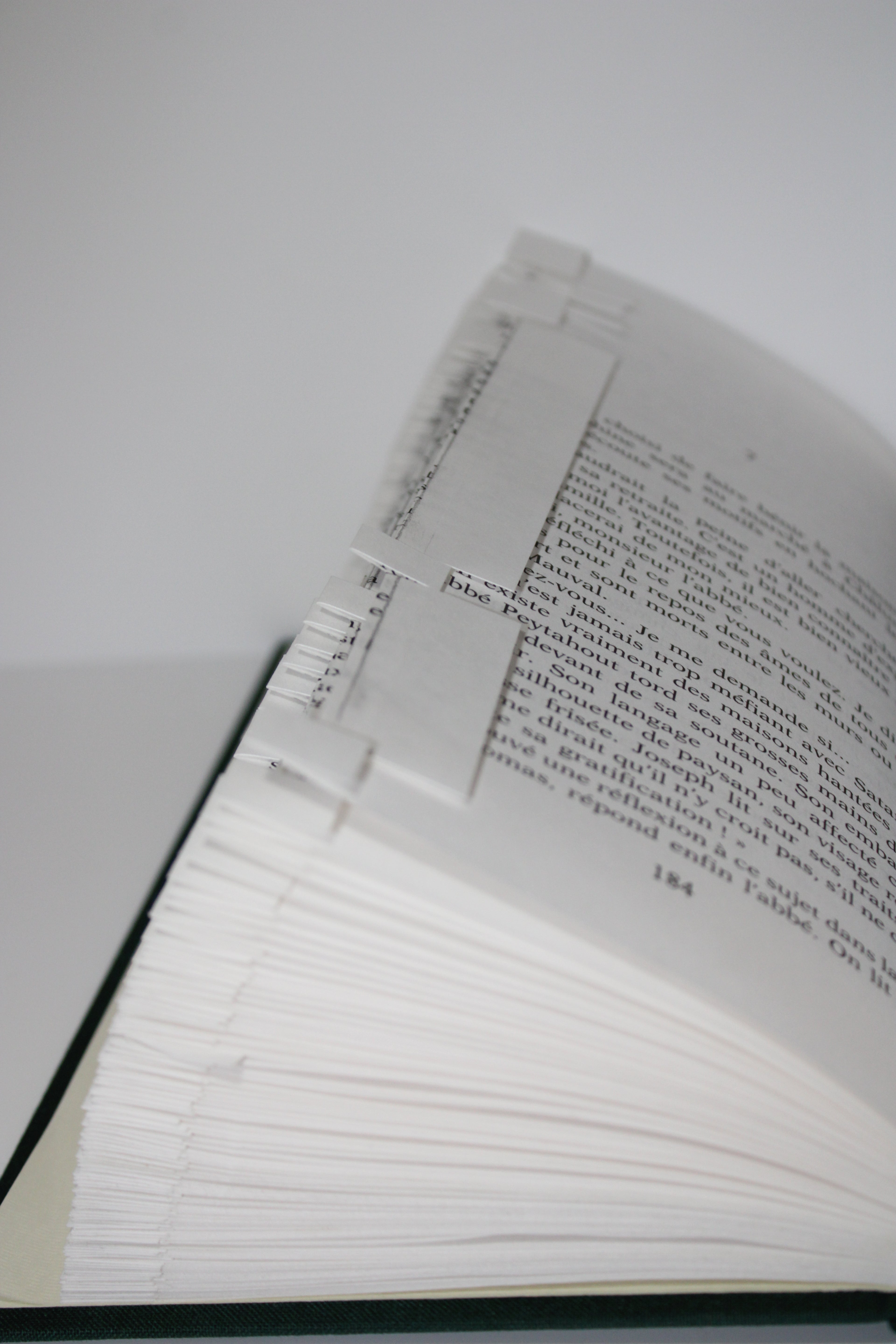 Livre écureuil