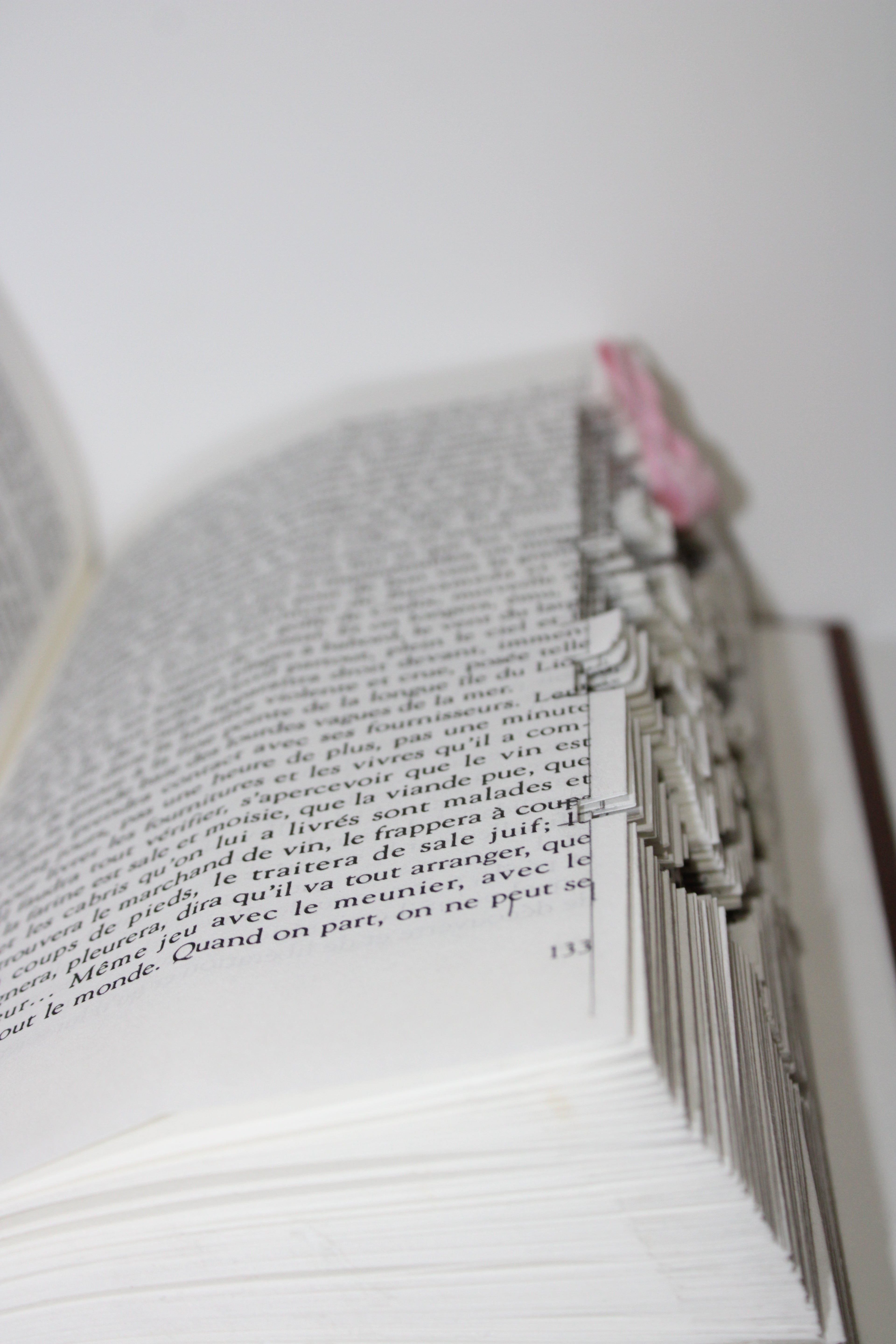 Livre ourson avec un noeud rose