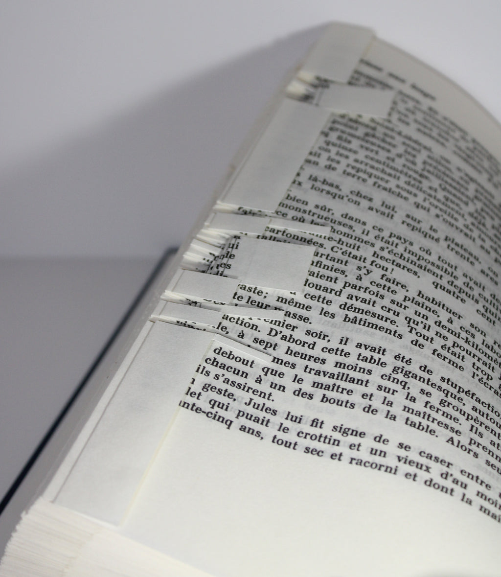 Livre bouquet de rose