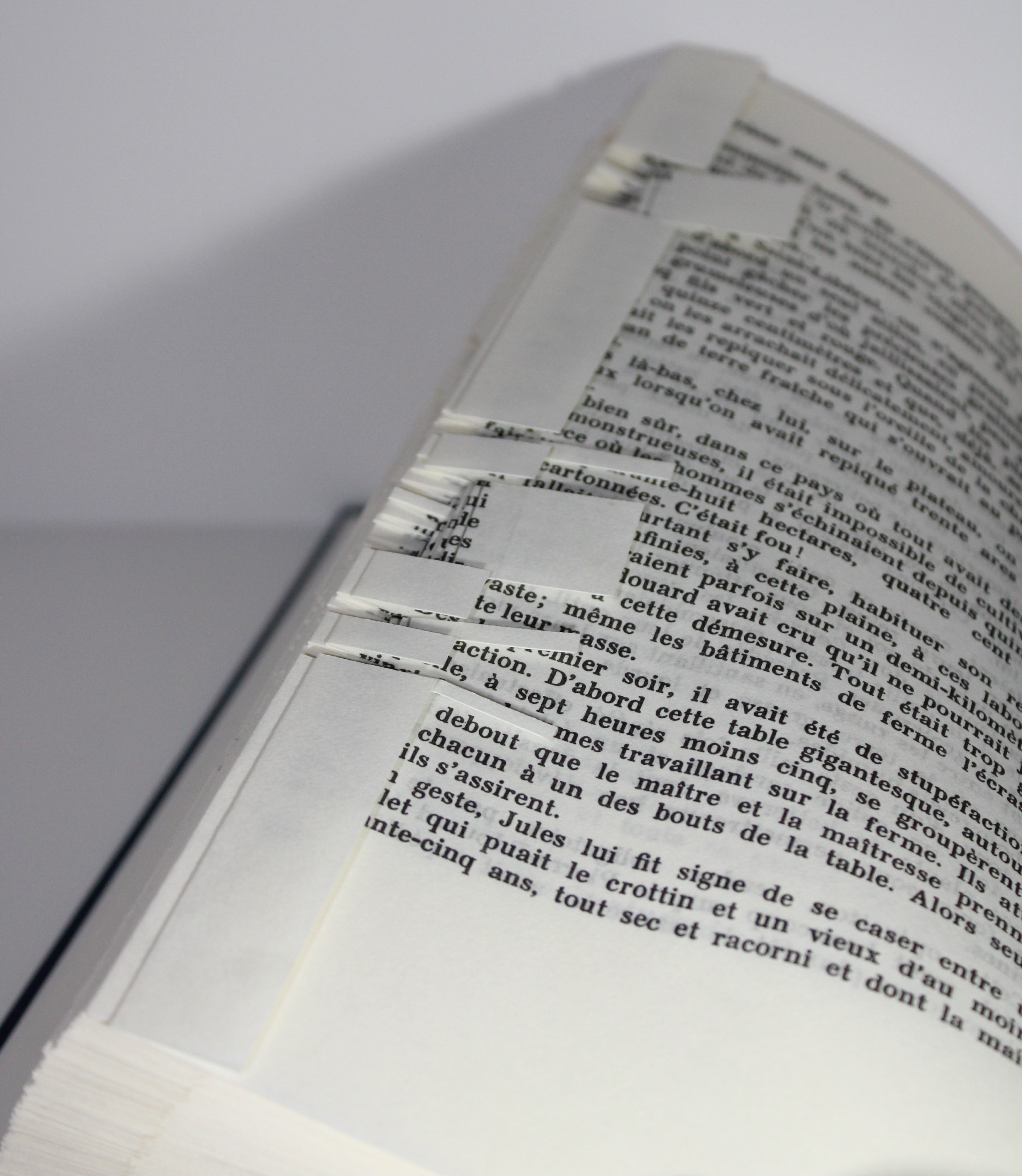 Livre bouquet de rose