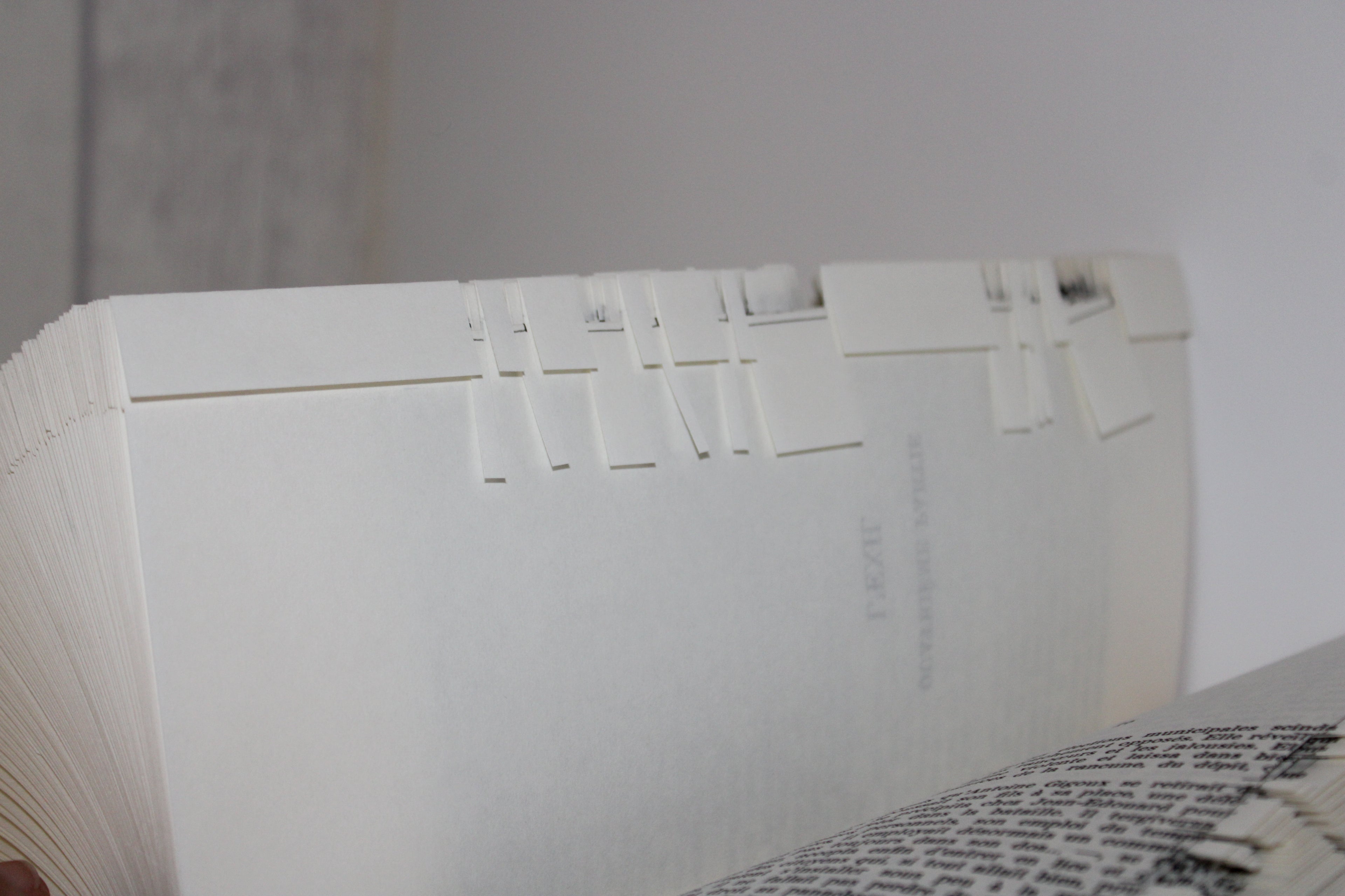 Livre bouquet de rose