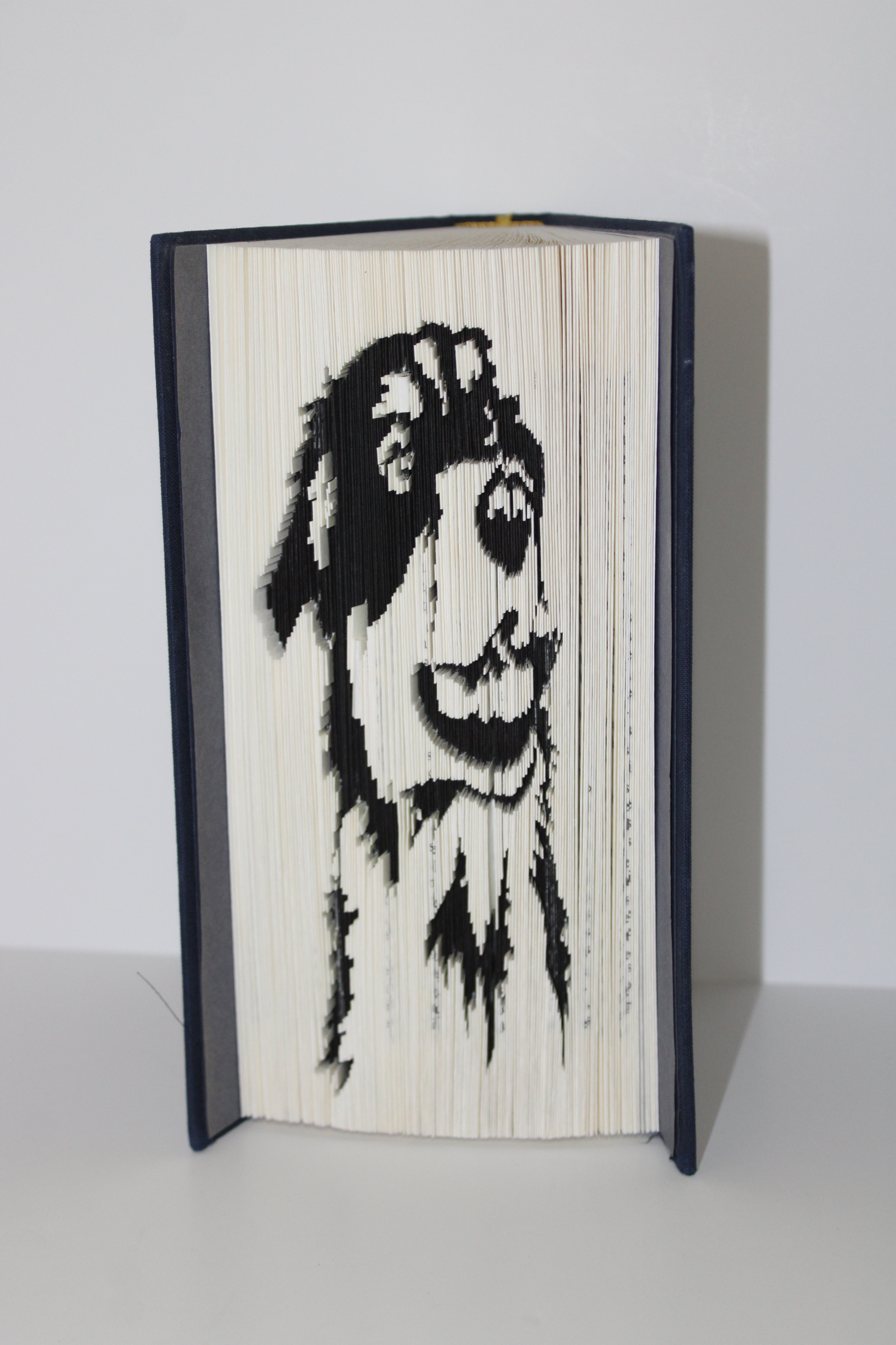 Livre berger australien