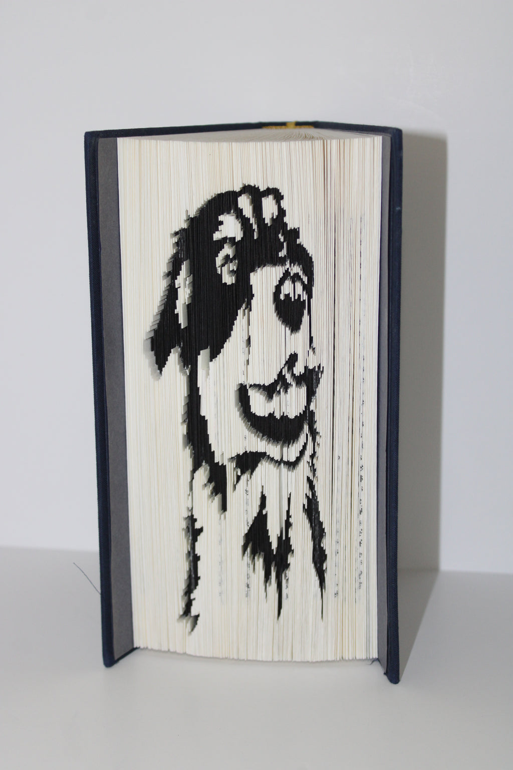 Livre berger australien