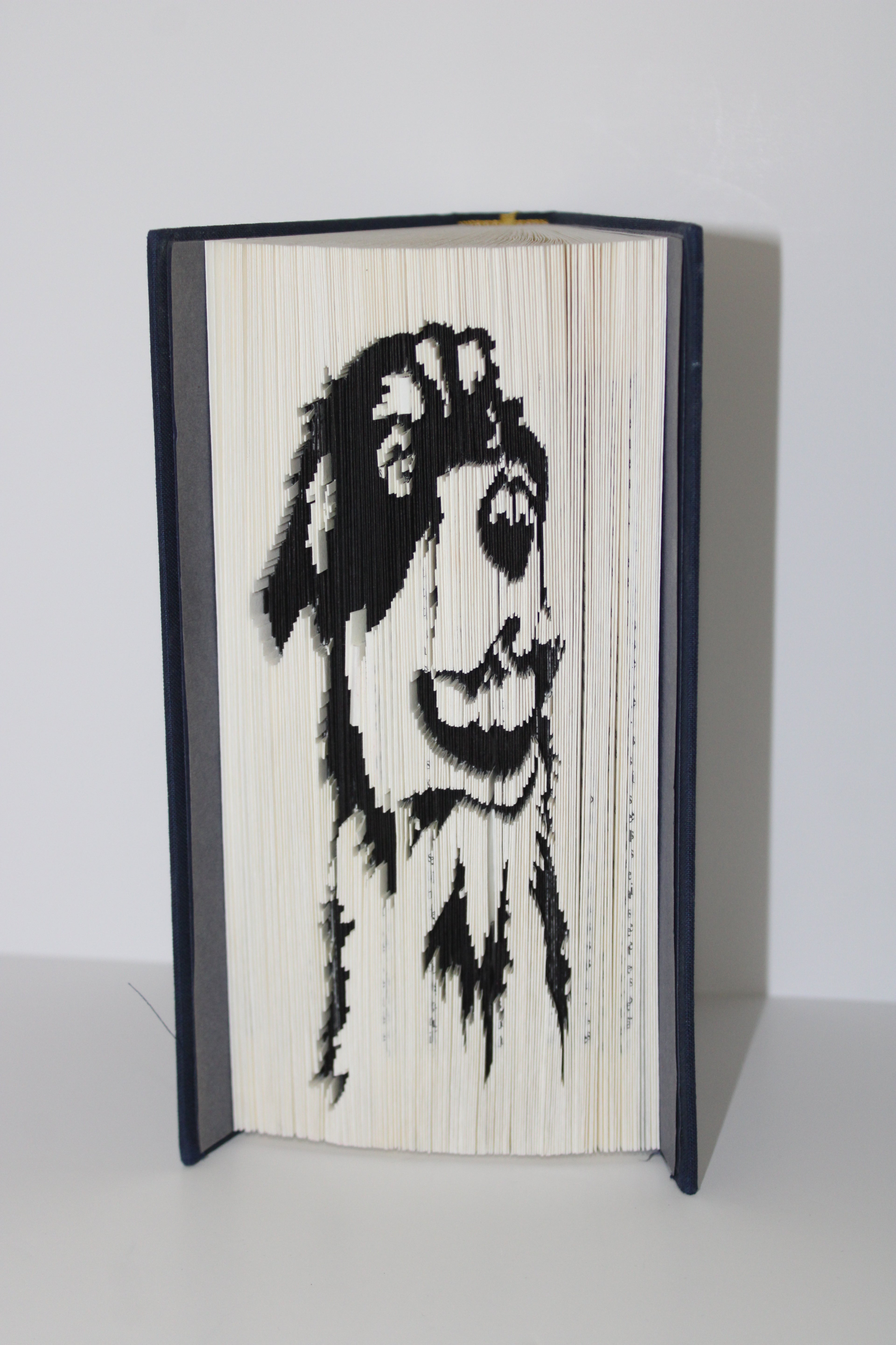 Livre berger australien