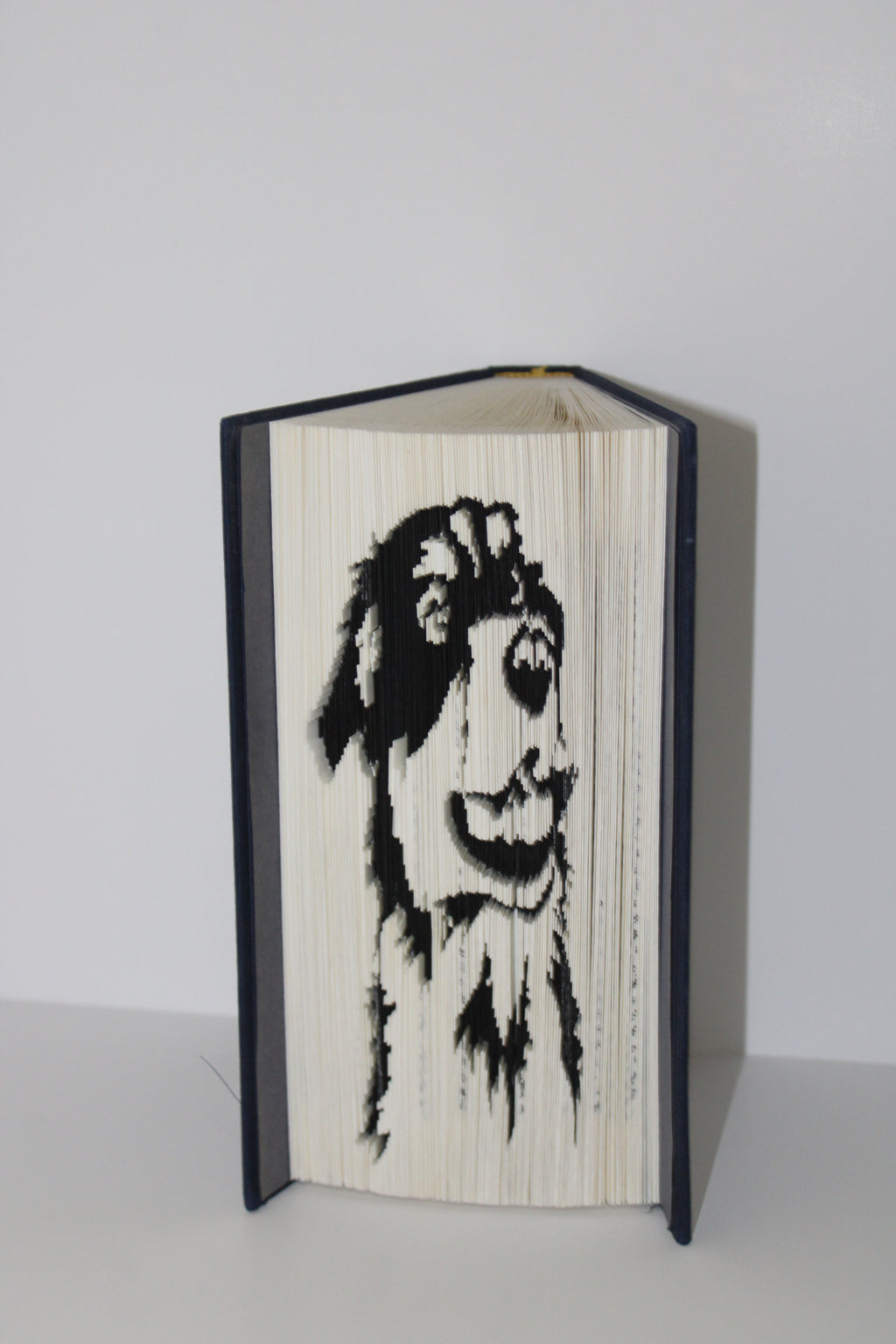 Livre berger australien