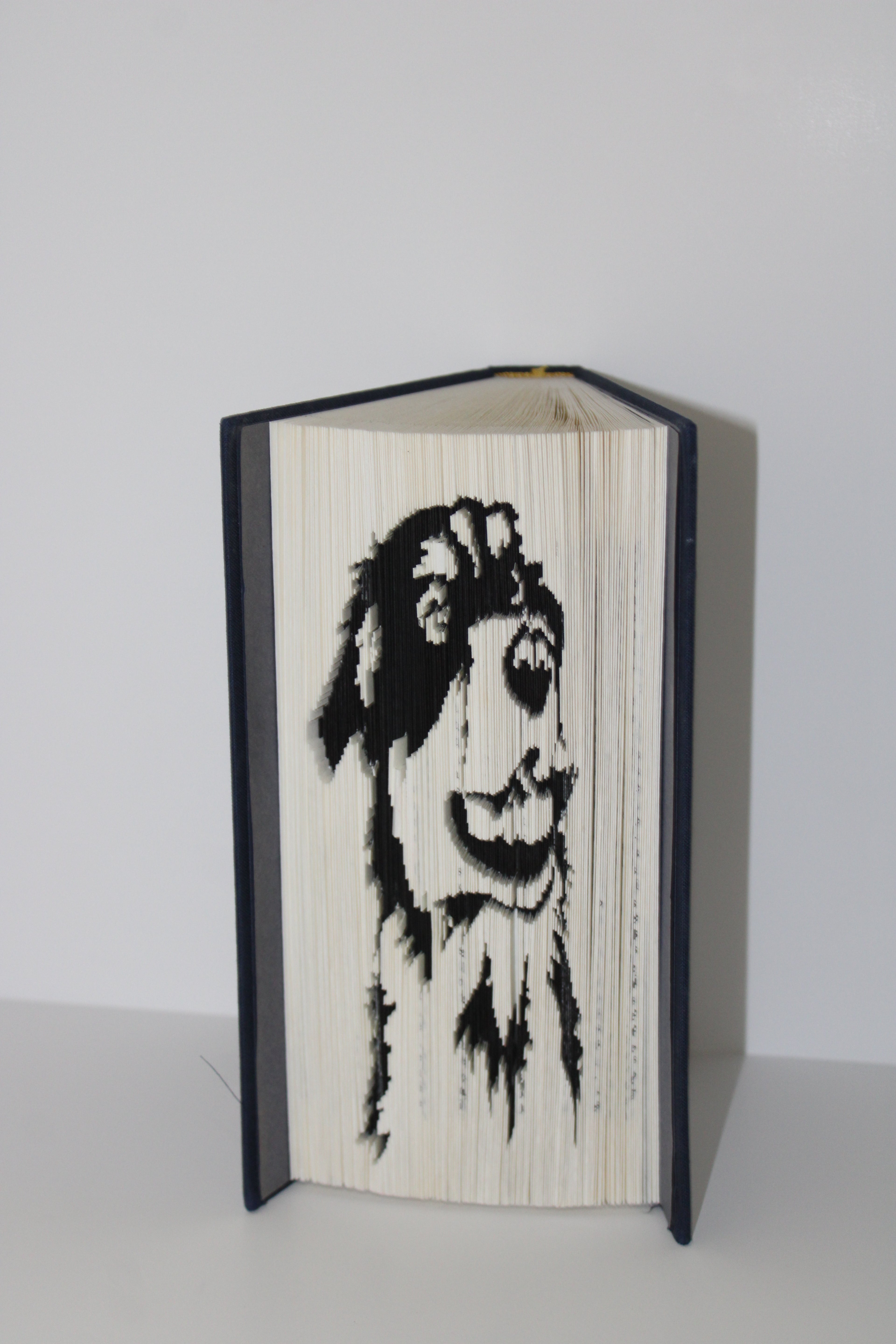 Livre berger australien