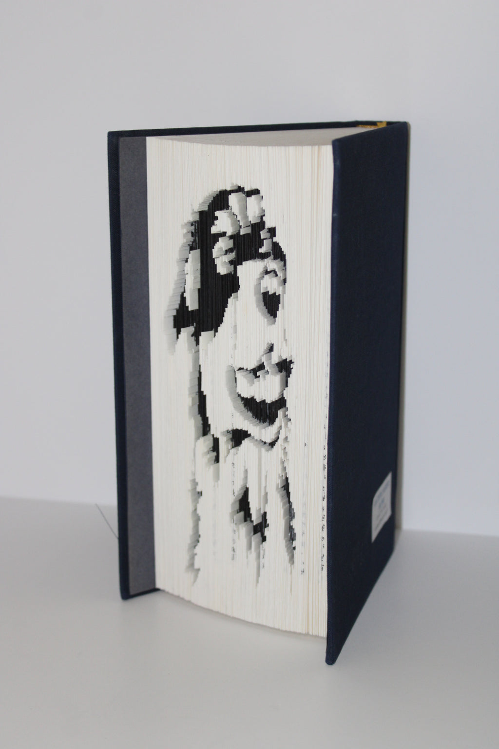 Livre berger australien