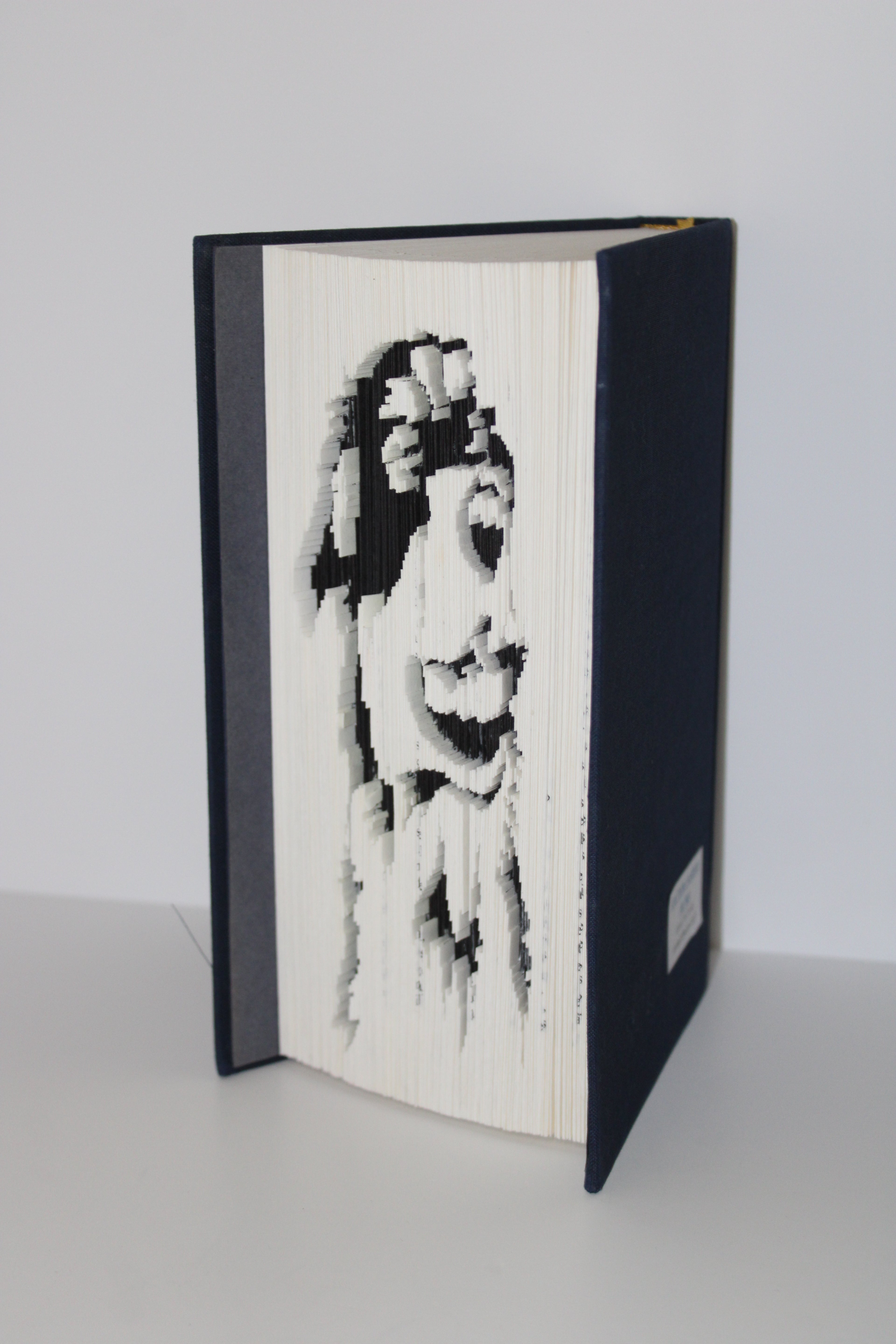 Livre berger australien