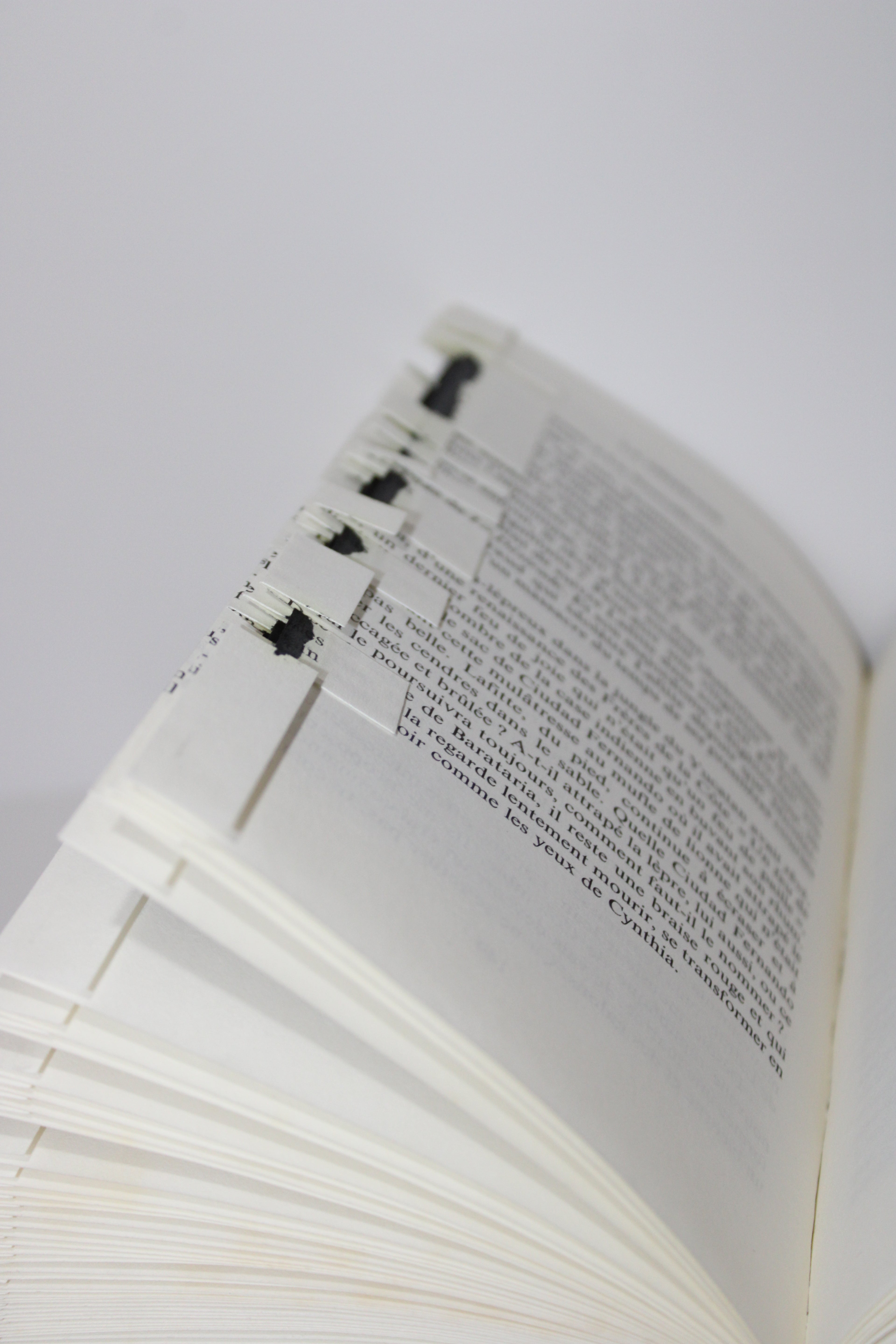 Livre berger australien