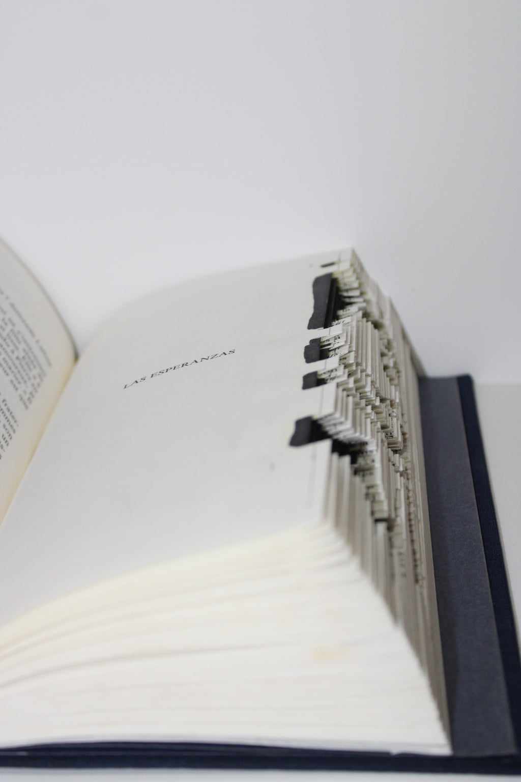 Livre berger australien