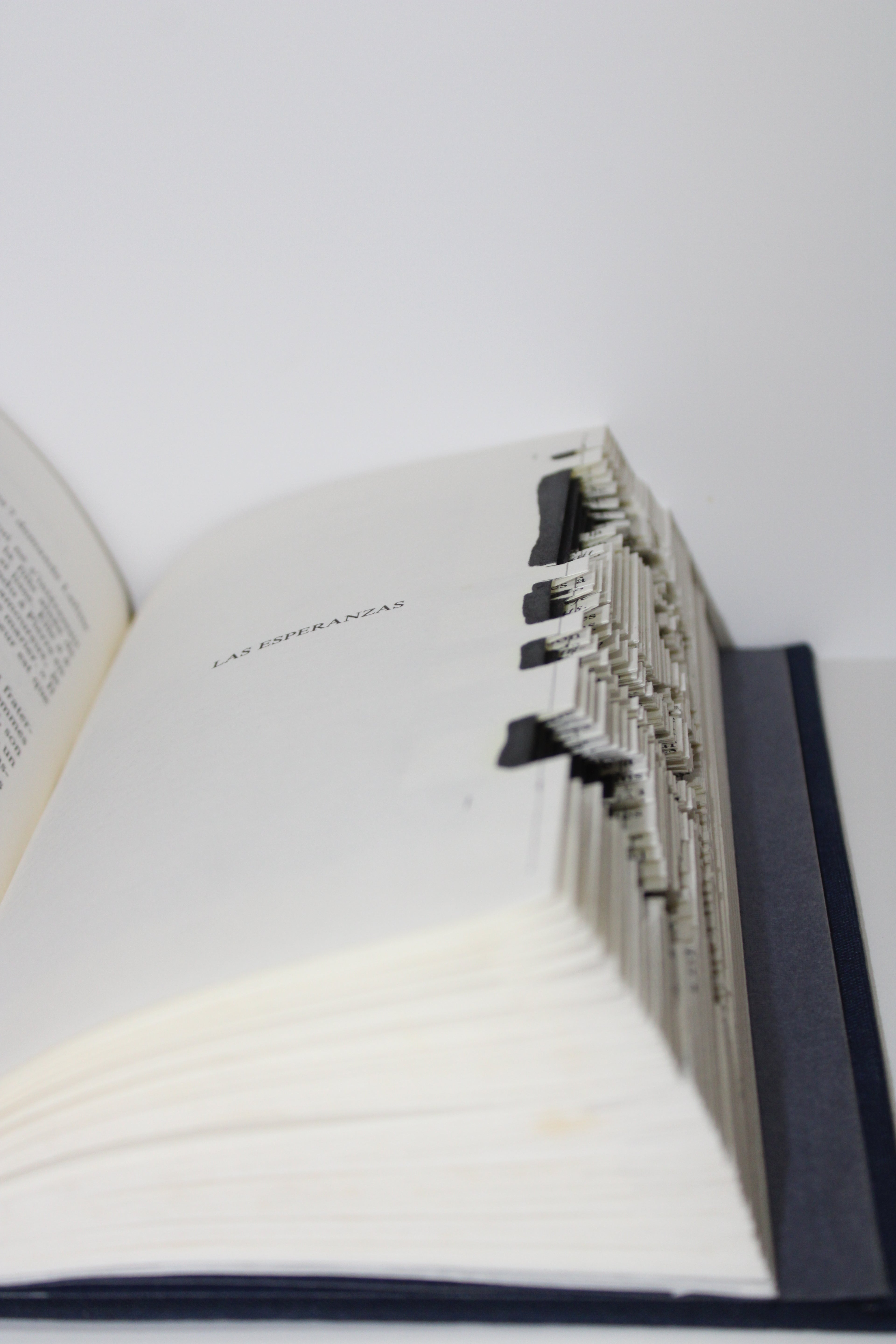 Livre berger australien