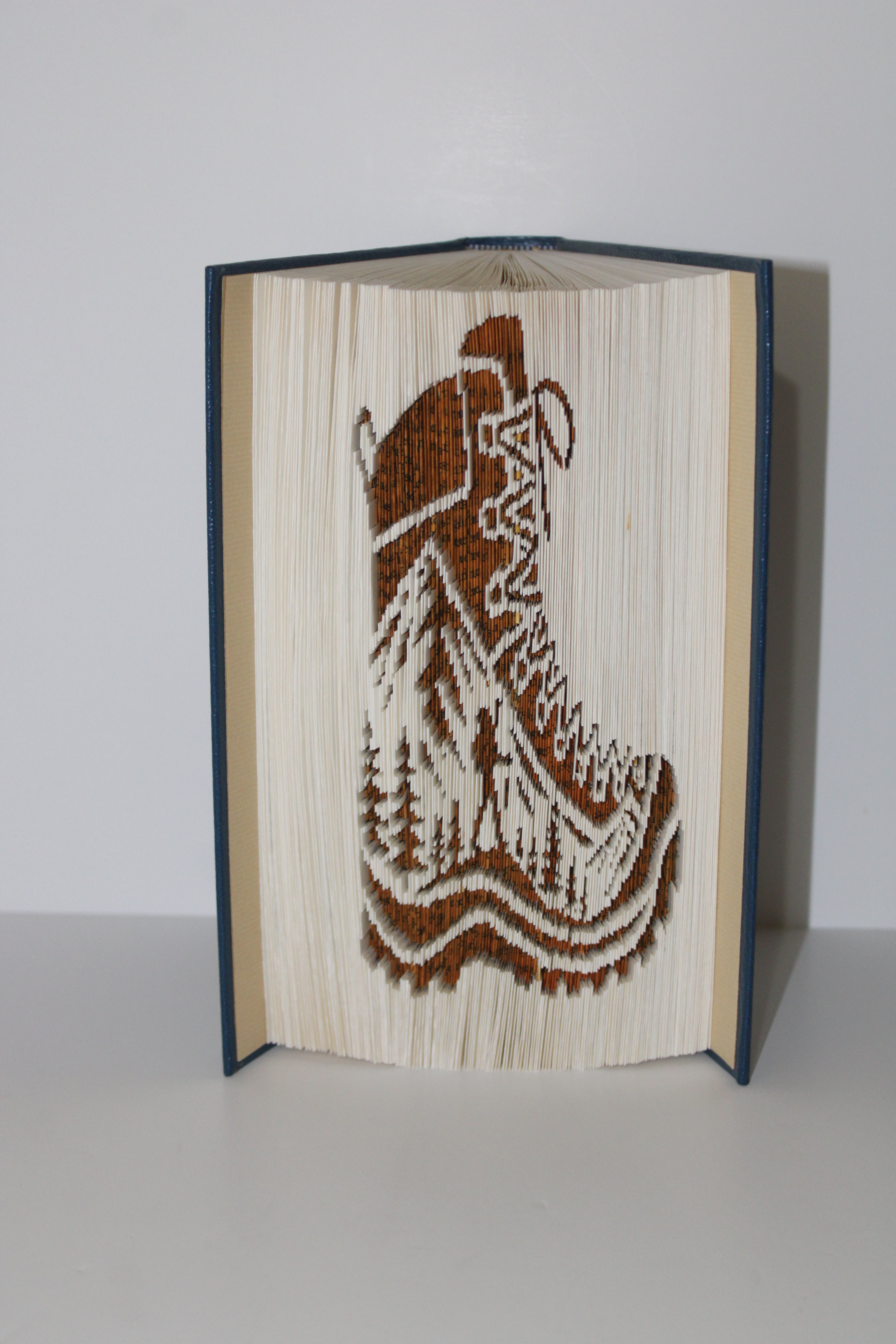 Livre chaussure de randonnées avec paysage