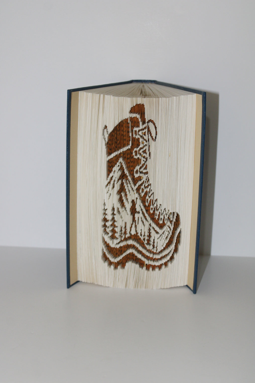 Livre chaussure de randonnées avec paysage