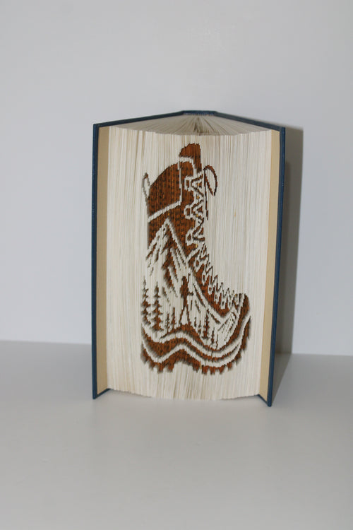 Livre chaussure de randonnées avec paysage