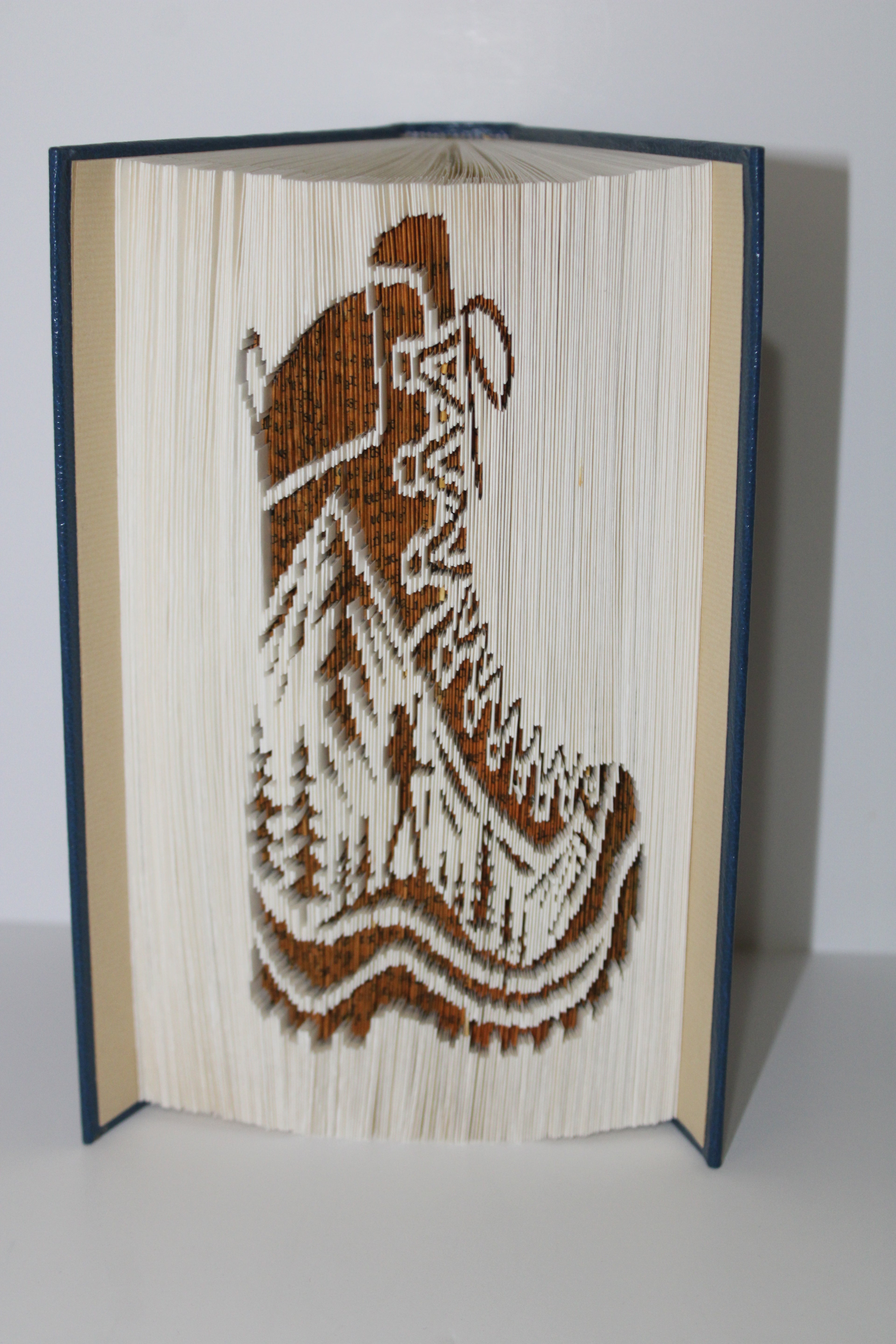 Livre chaussure de randonnées avec paysage