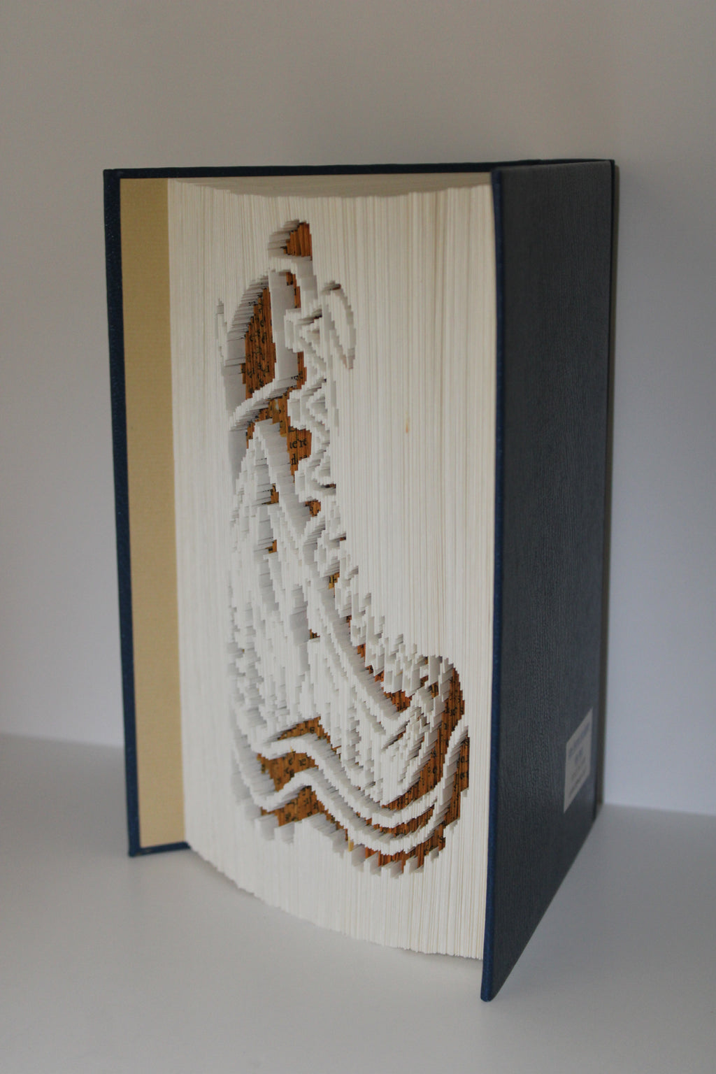 Livre chaussure de randonnées avec paysage