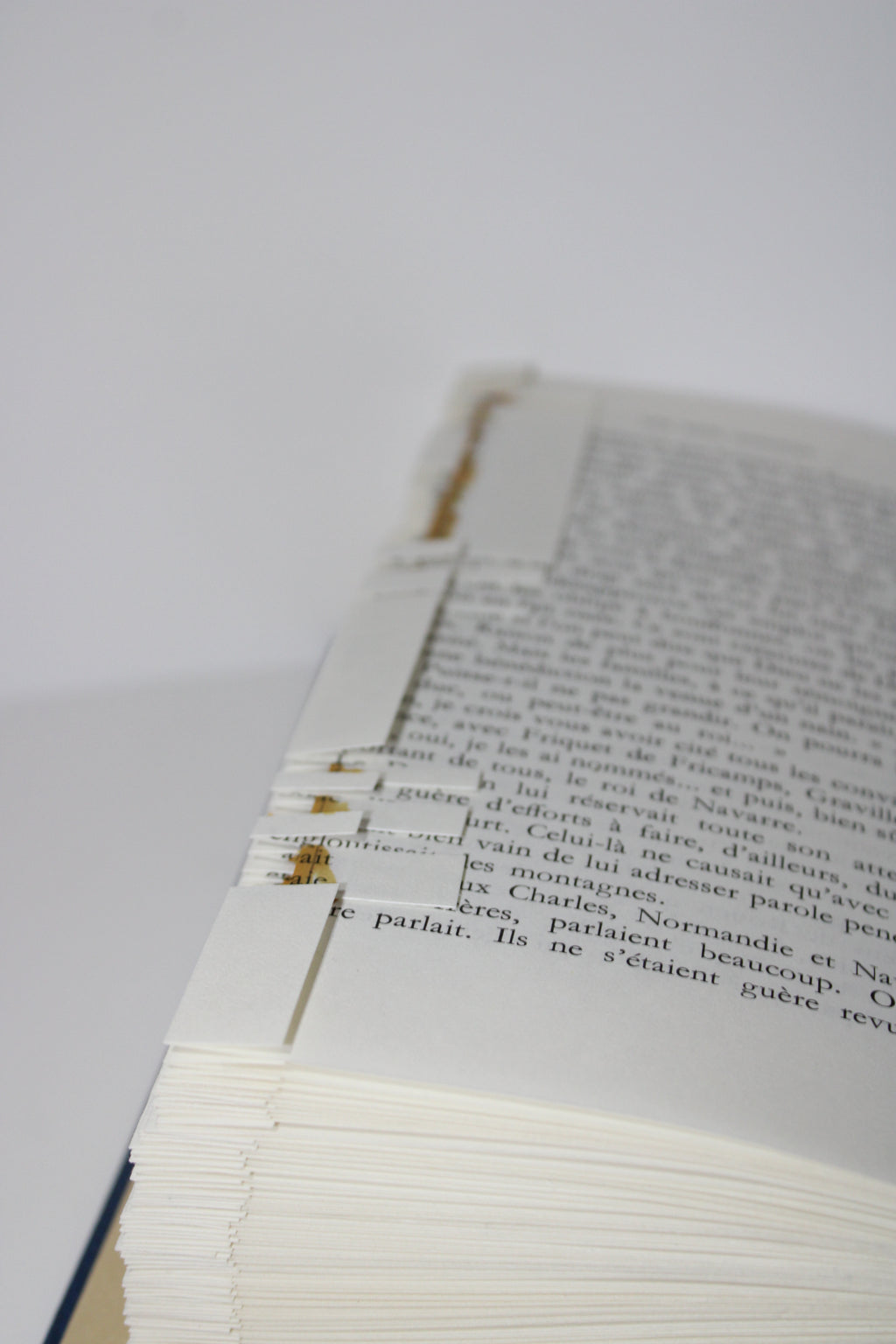 Livre chaussure de randonnées avec paysage
