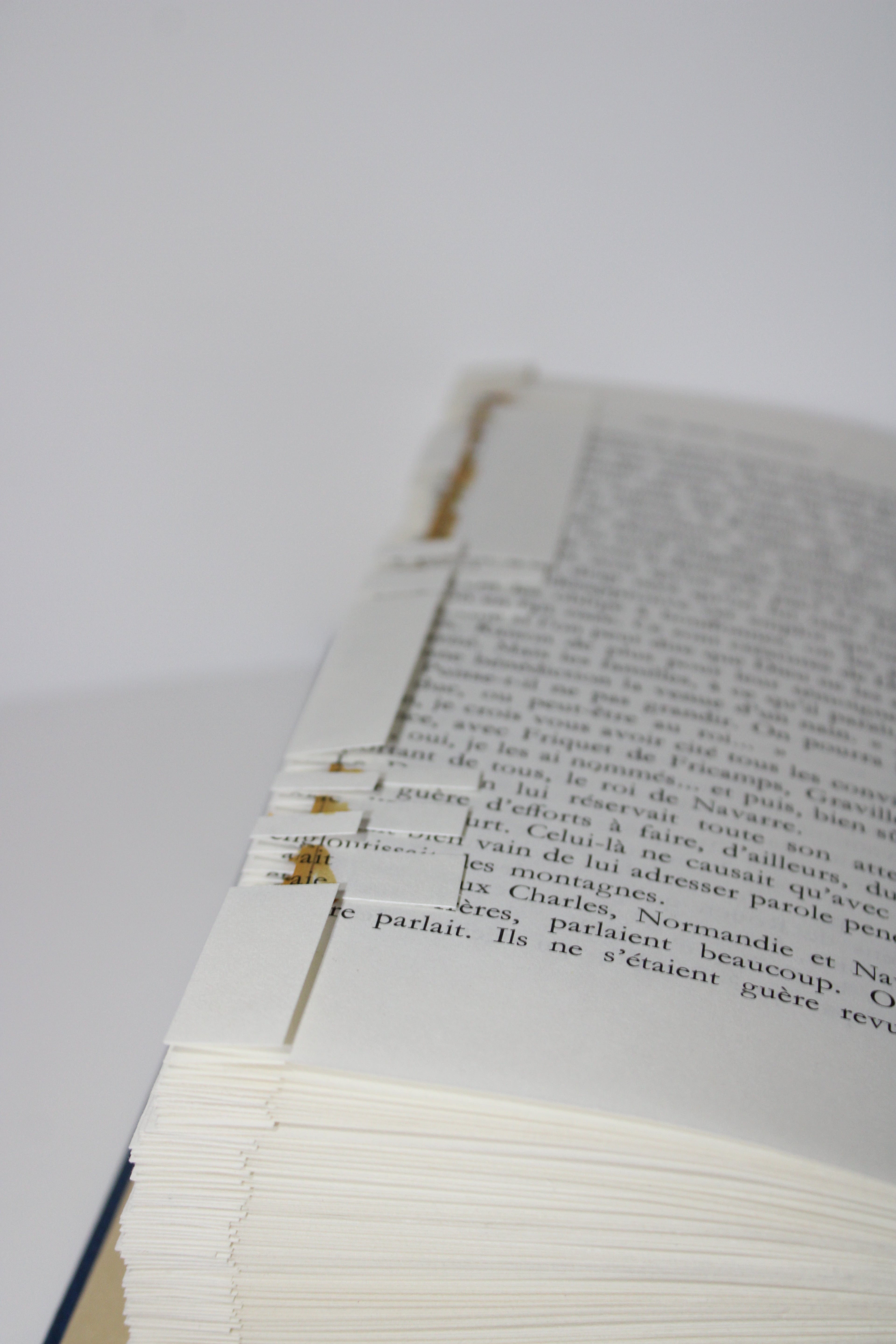 Livre chaussure de randonnées avec paysage