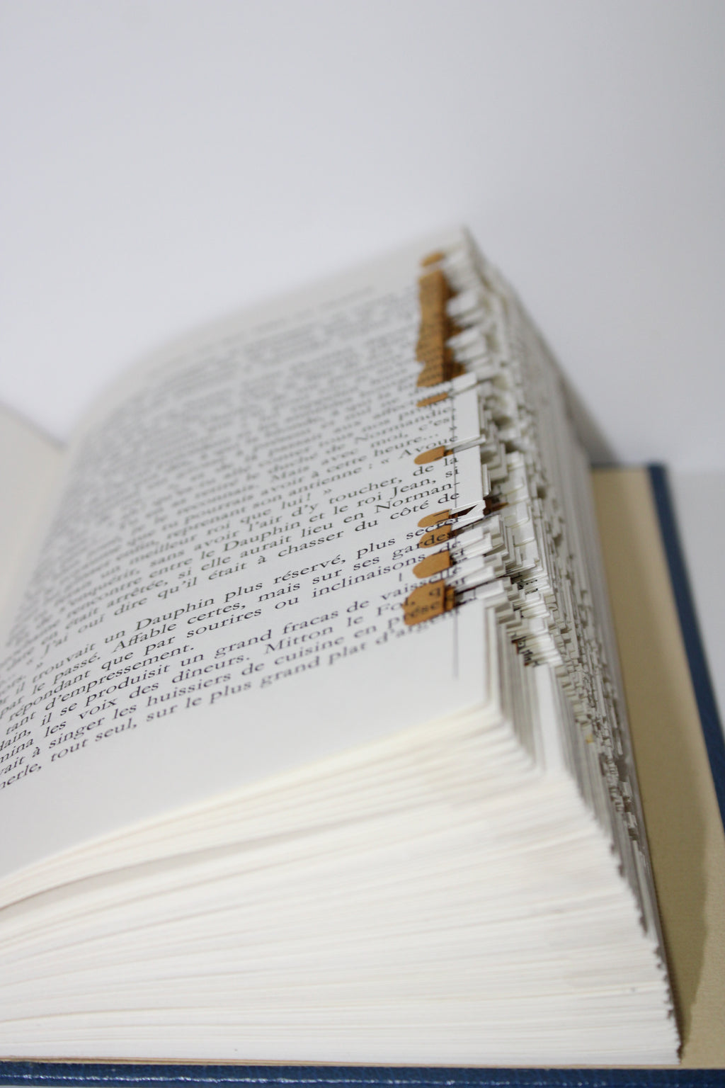 Livre chaussure de randonnées avec paysage