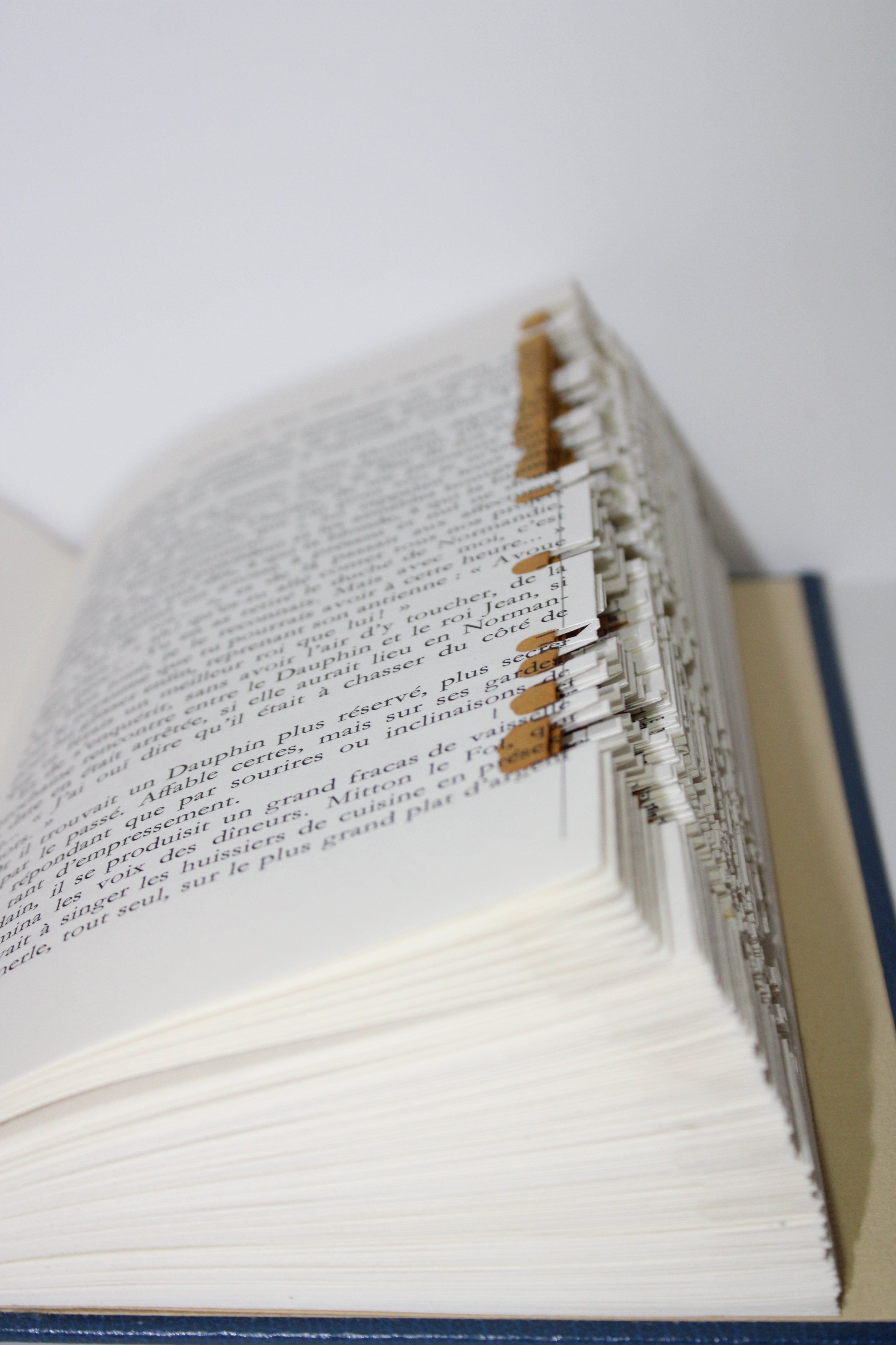 Livre chaussure de randonnées avec paysage