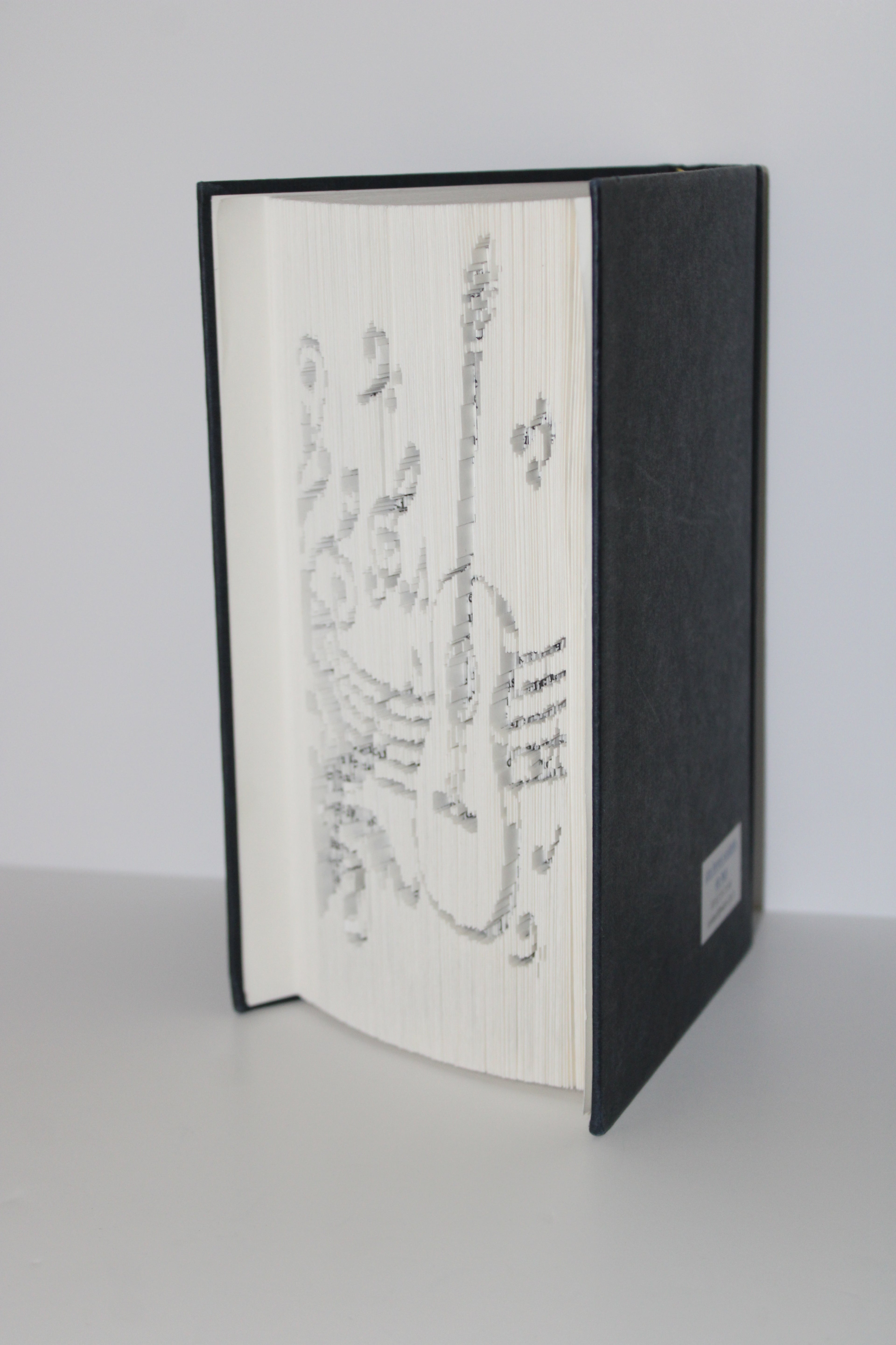 Livre guitare avec des notes de musique