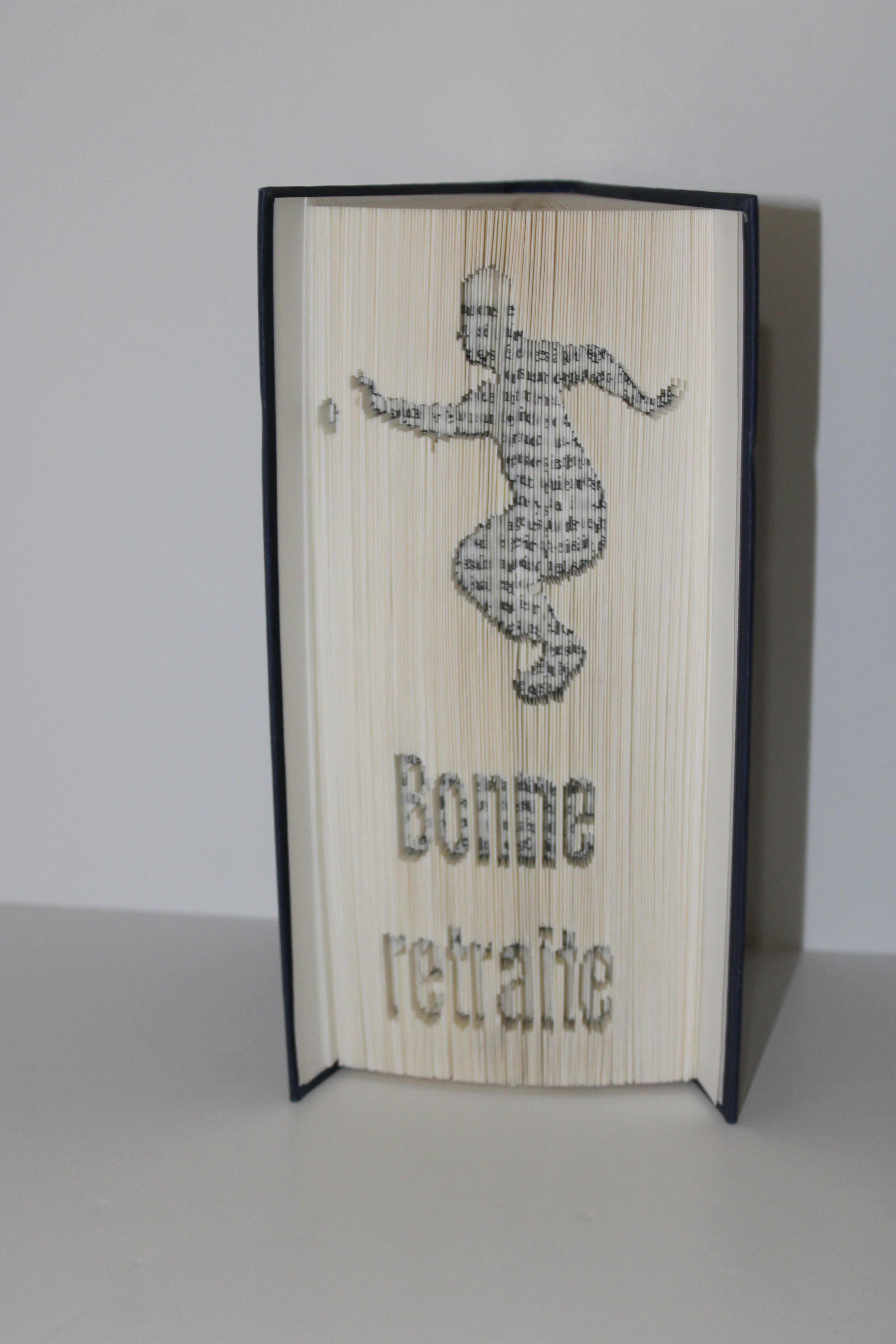 Livre bonne retraite pétanque