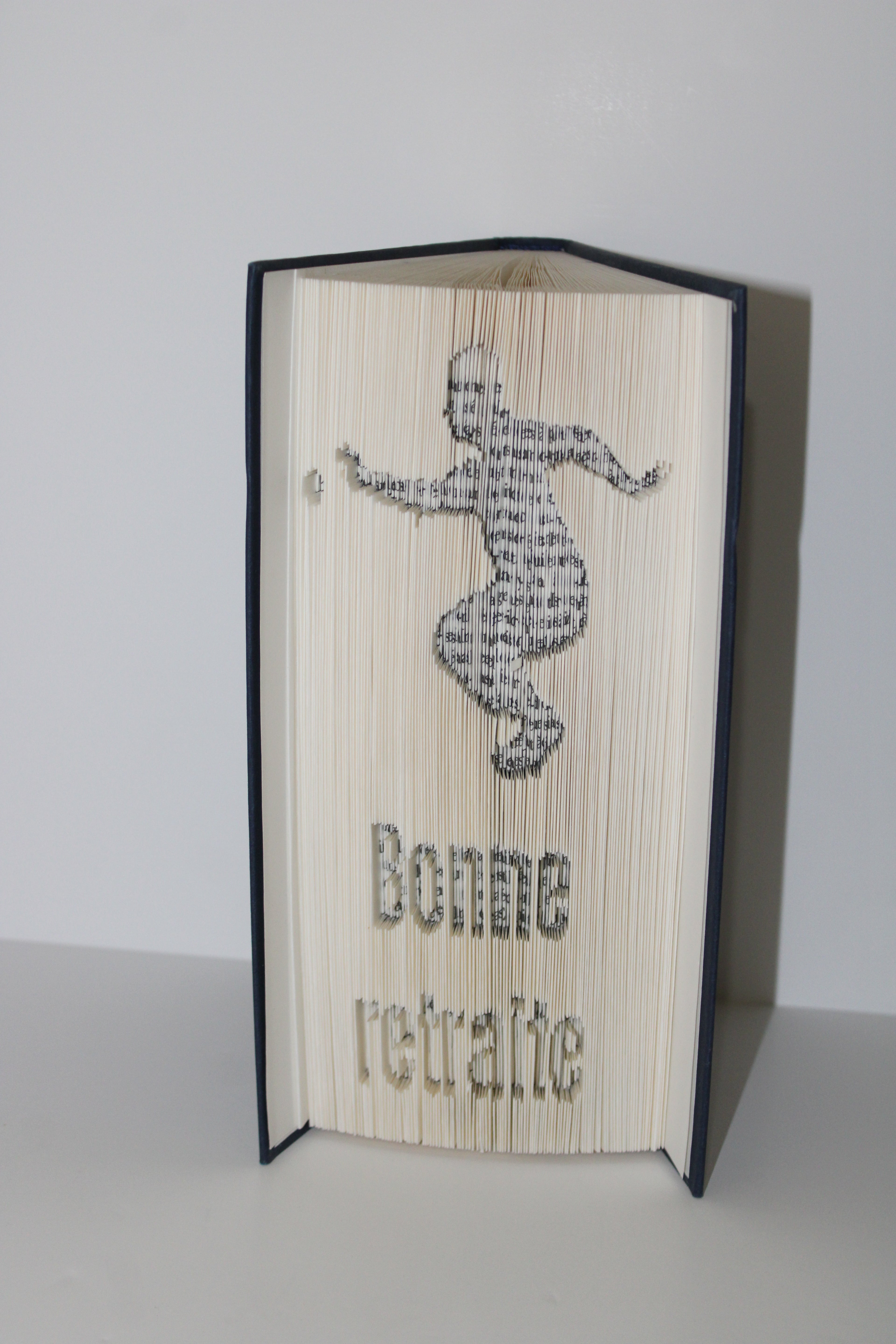 Livre bonne retraite pétanque