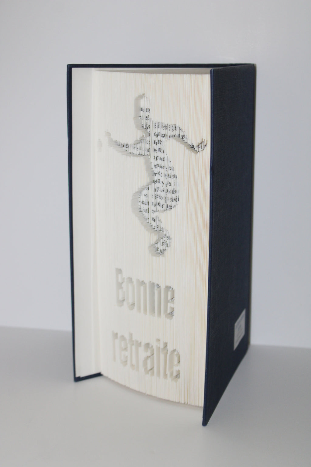 Livre bonne retraite pétanque