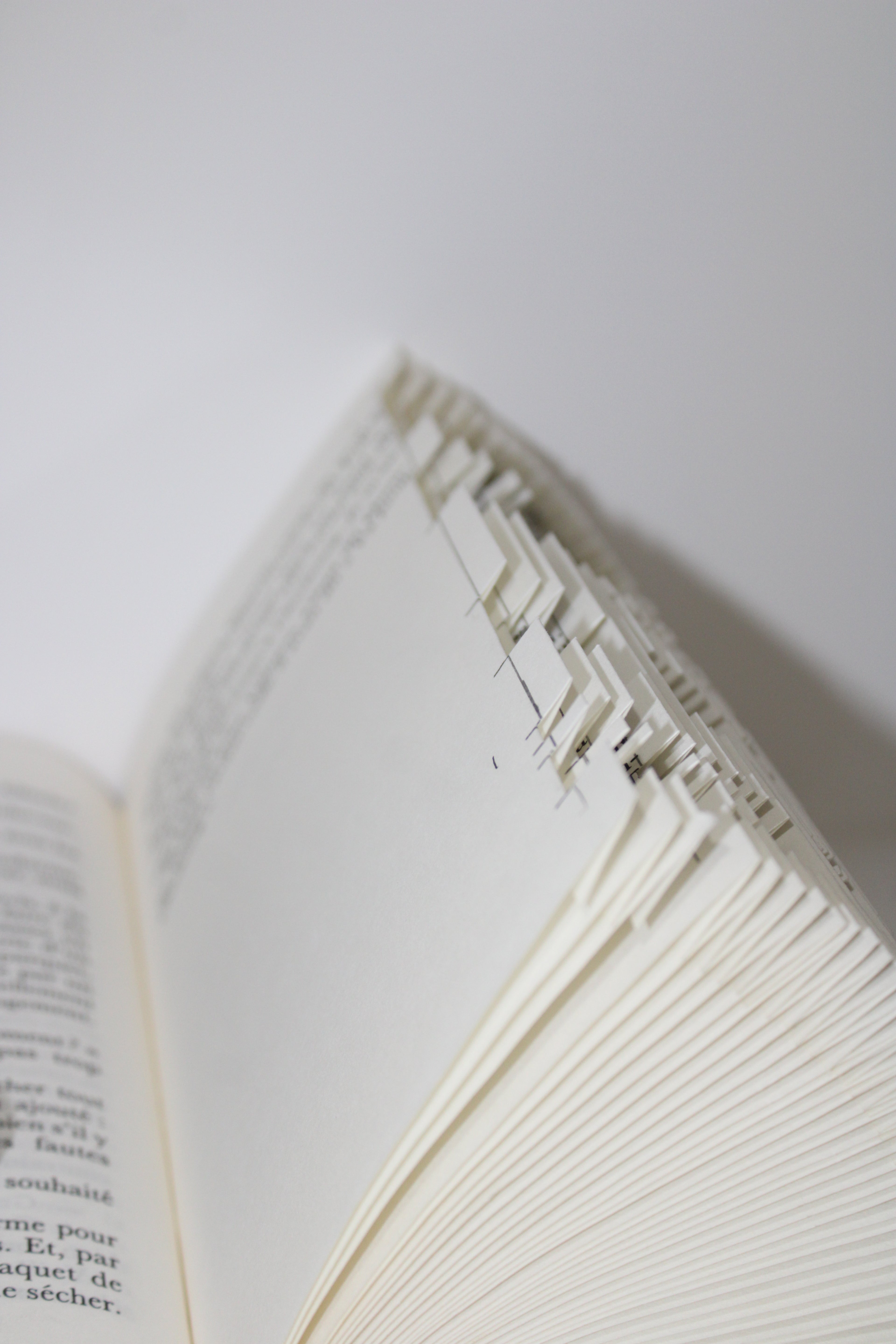 Livre bonne retraite pétanque