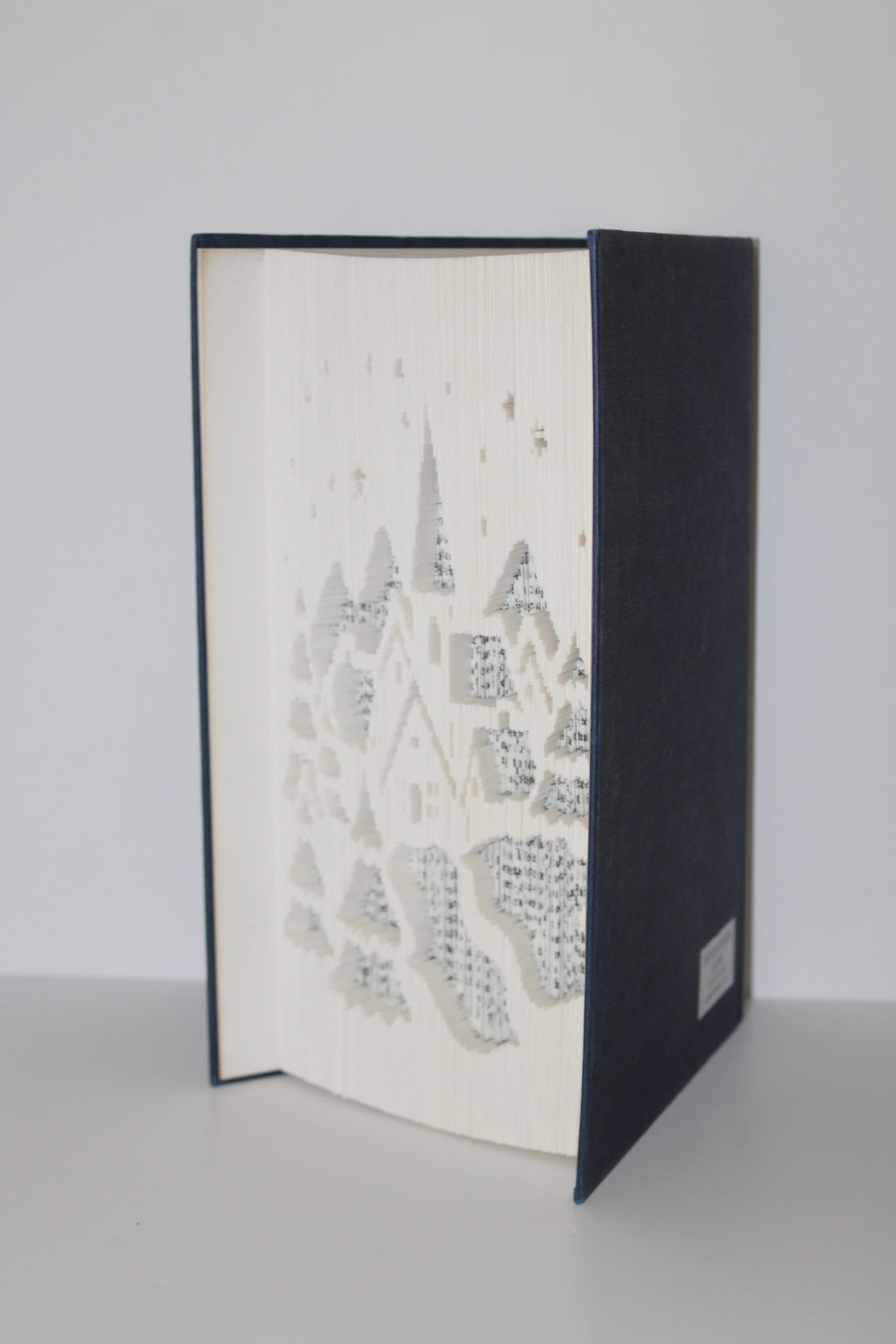 Livre village de Noël