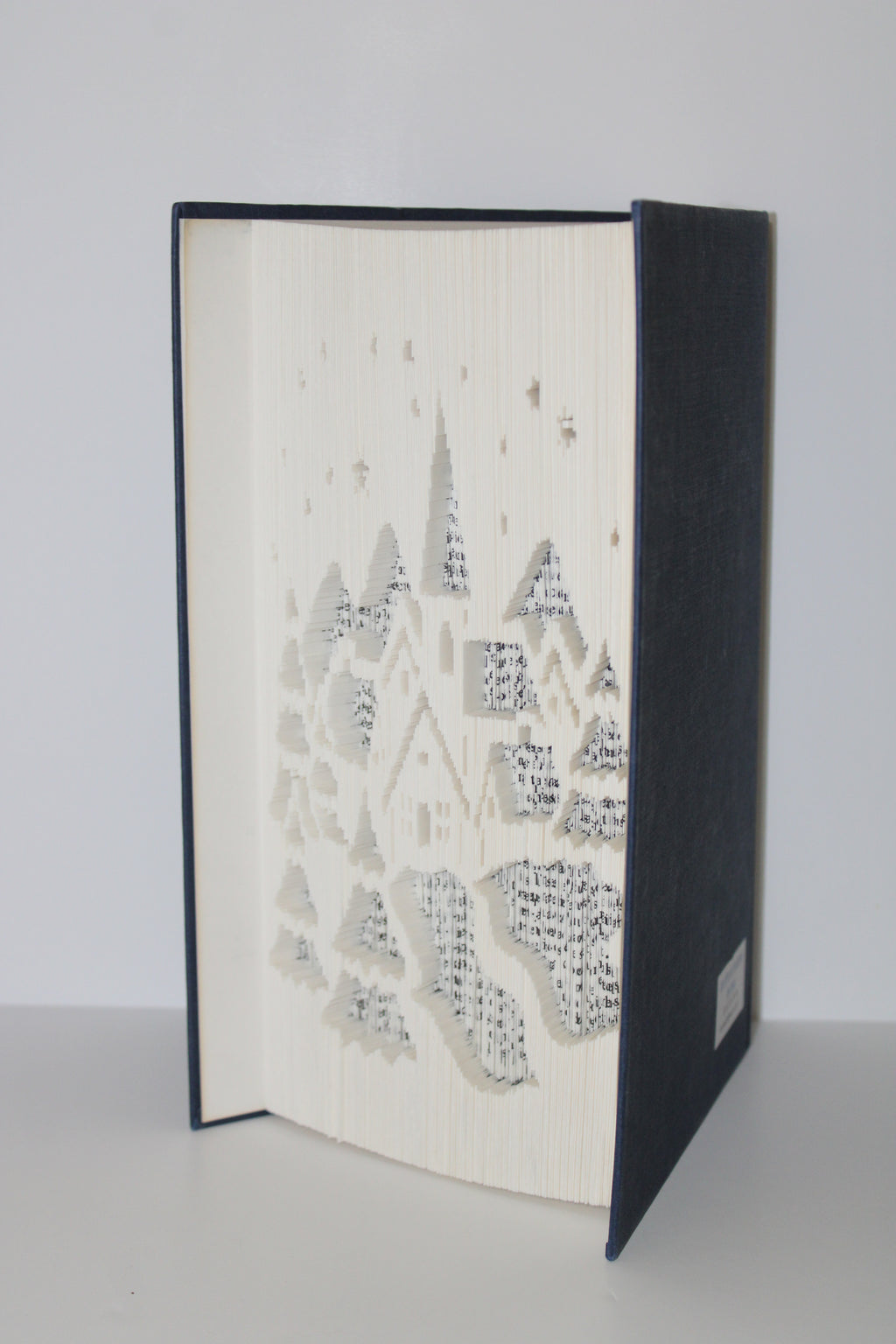 Livre village de Noël