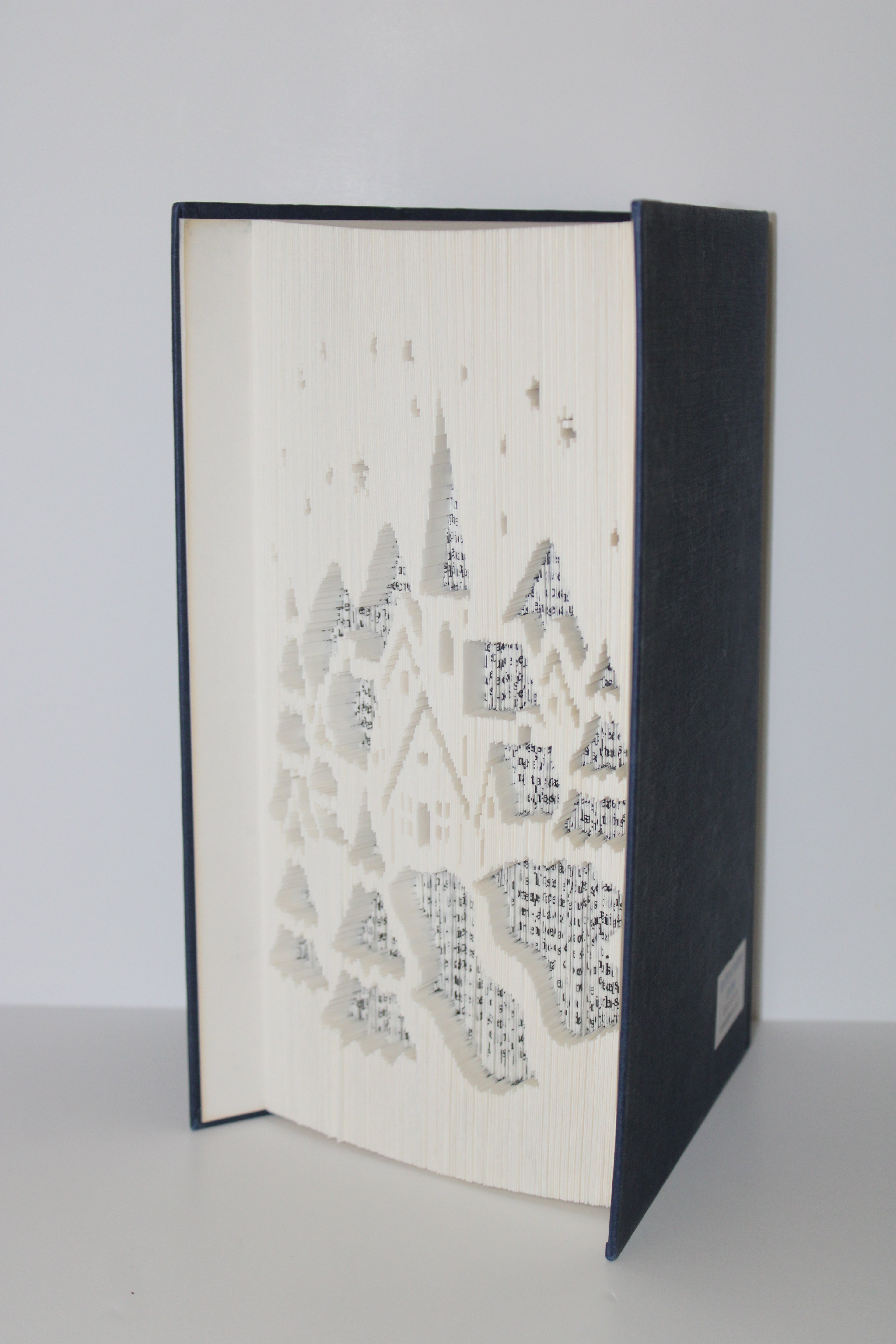 Livre village de Noël