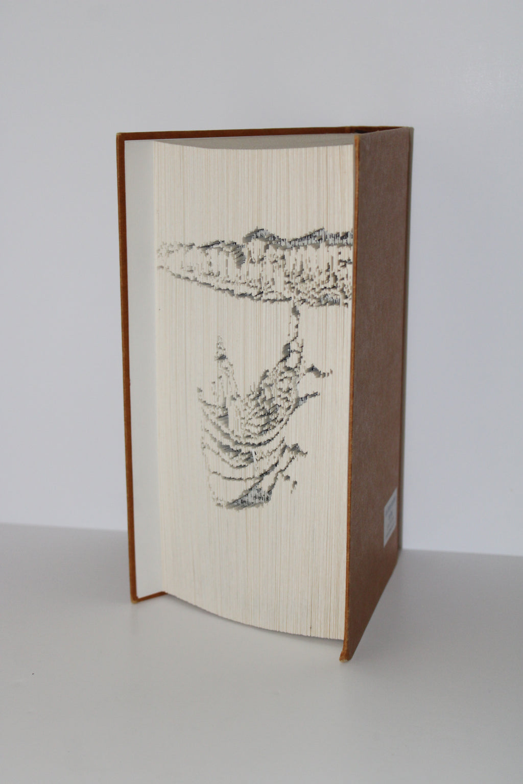 Livre pécheurs et falaises