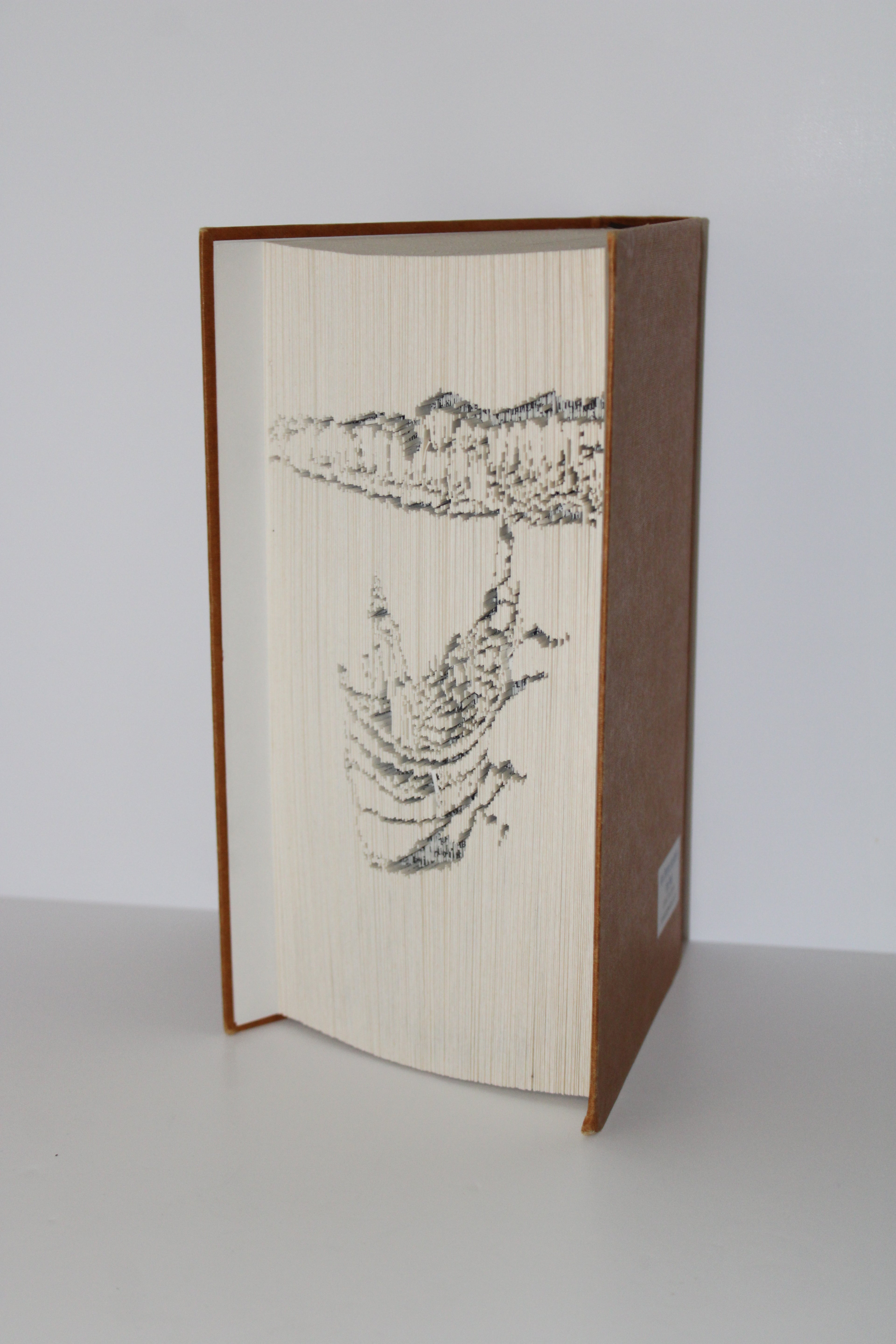 Livre pécheurs et falaises