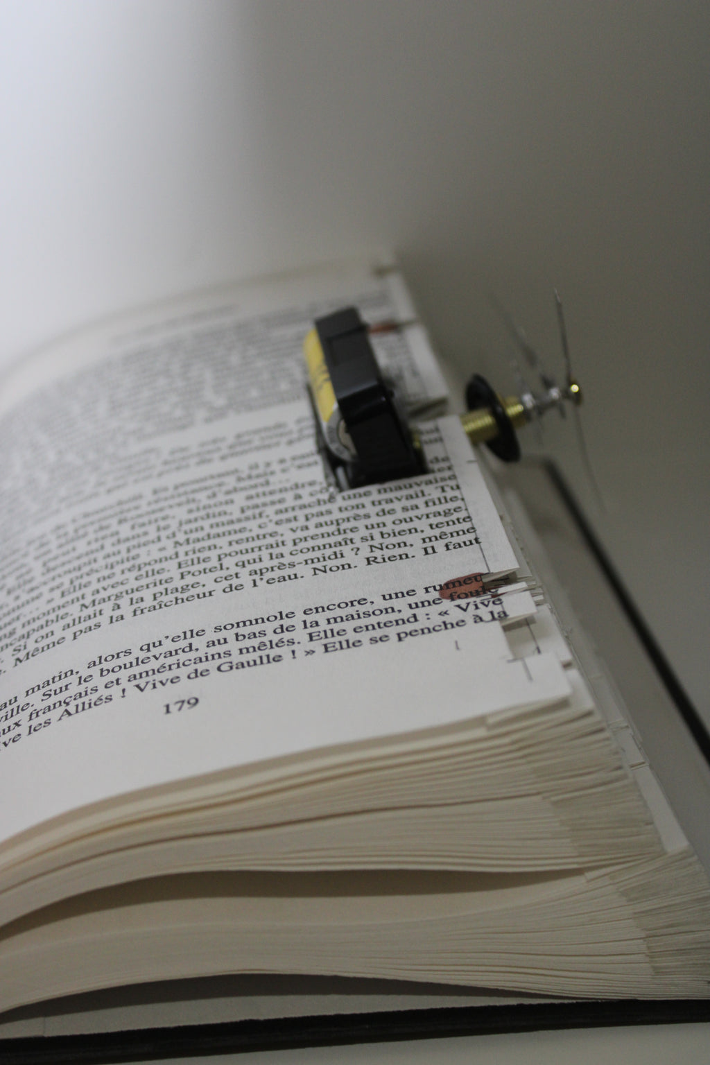 Livre pendule grenouilles vertes
