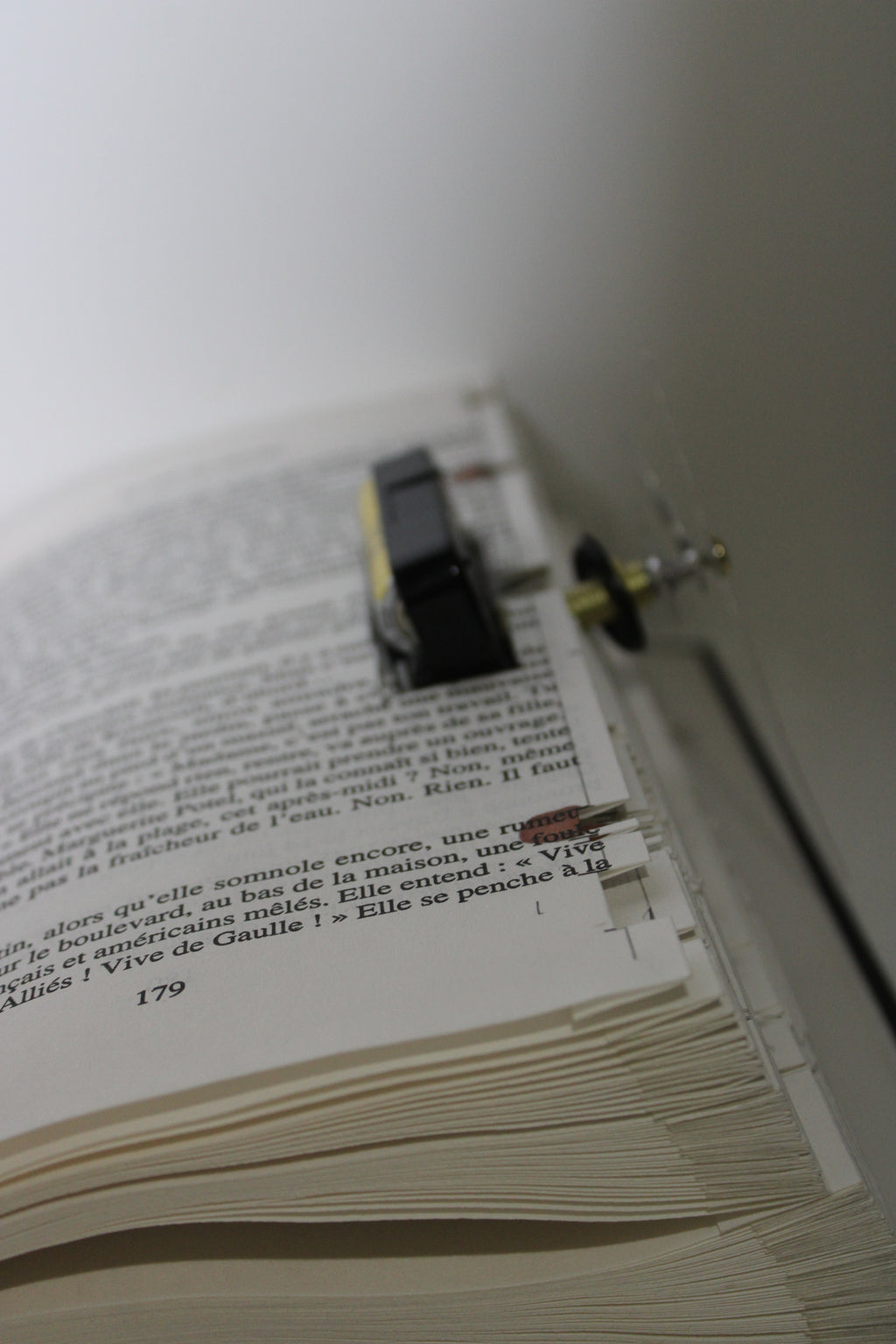 Livre pendule grenouilles vertes