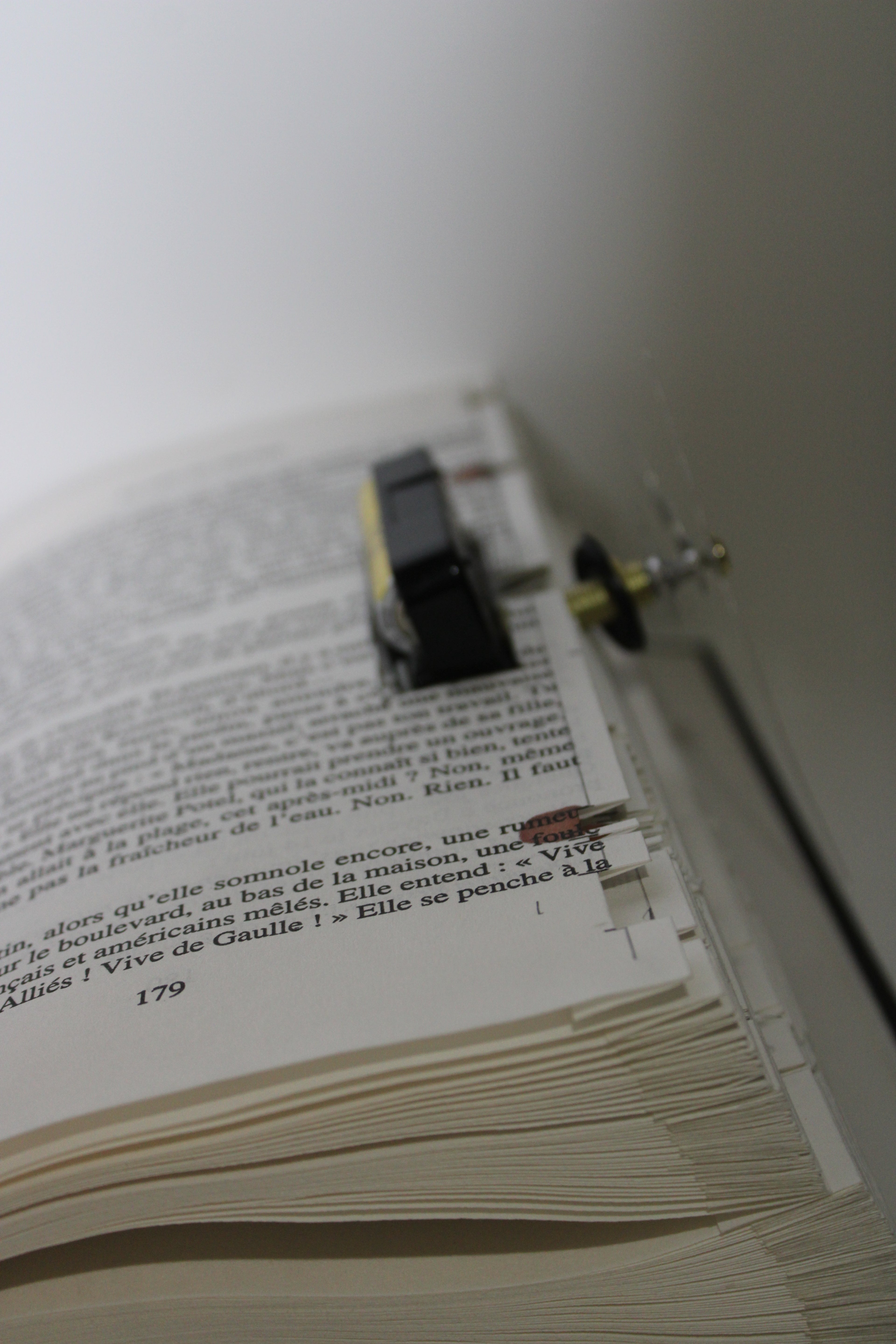 Livre pendule grenouilles vertes