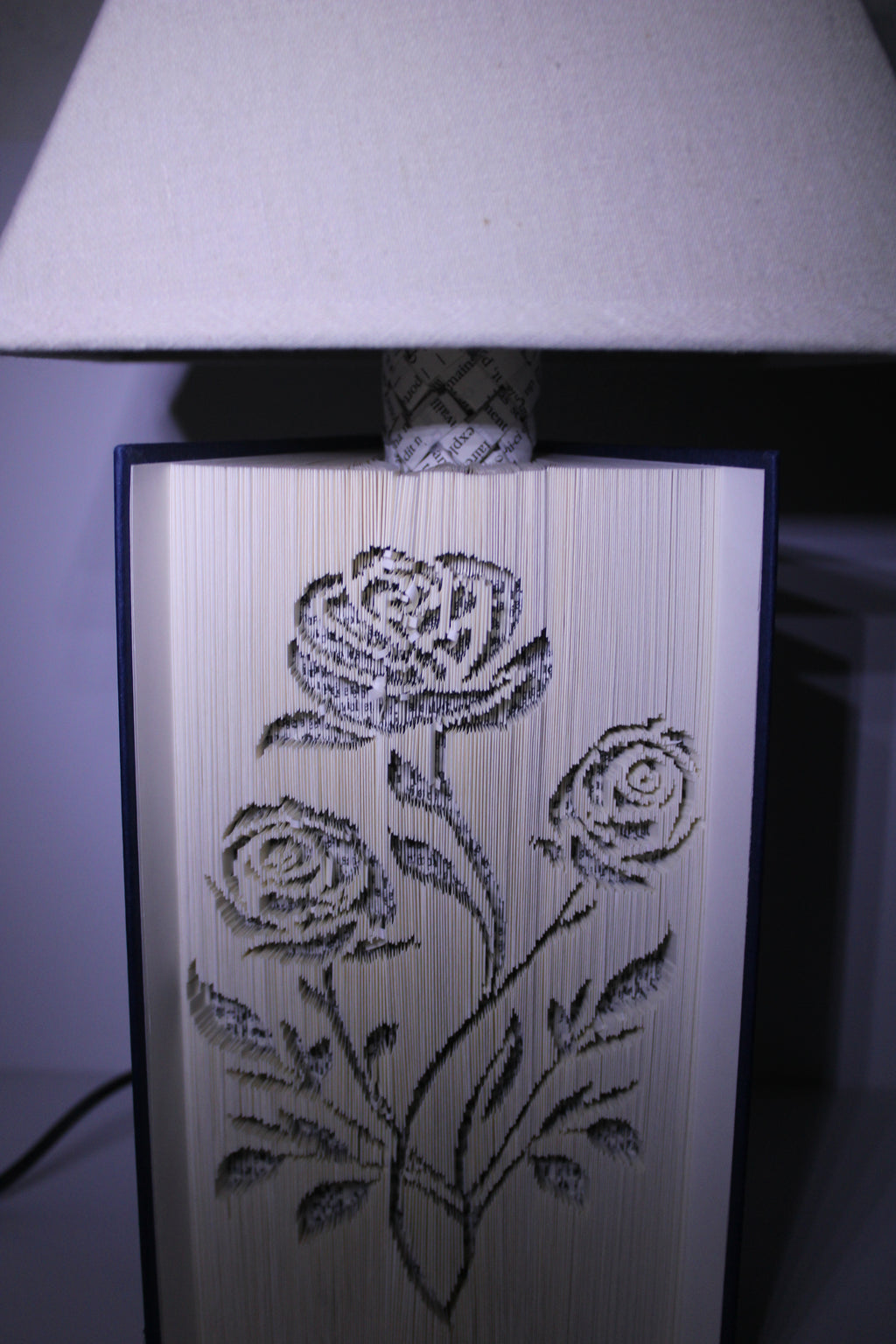 Livre lampe bouquet de roses